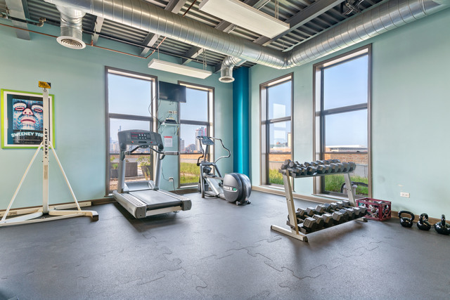2545 South Dearborn Street, Unit 331 Chicago, IL 60616 - Photo 16 of 17 a room with gym equipment and large windows