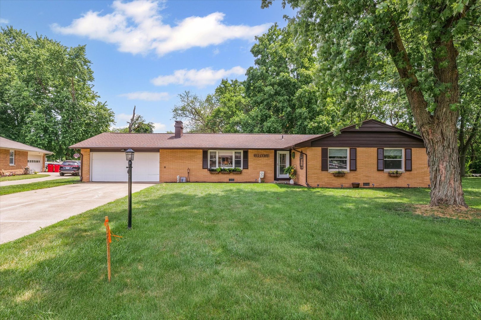 a view of a yard in front of a house with plants and large tree