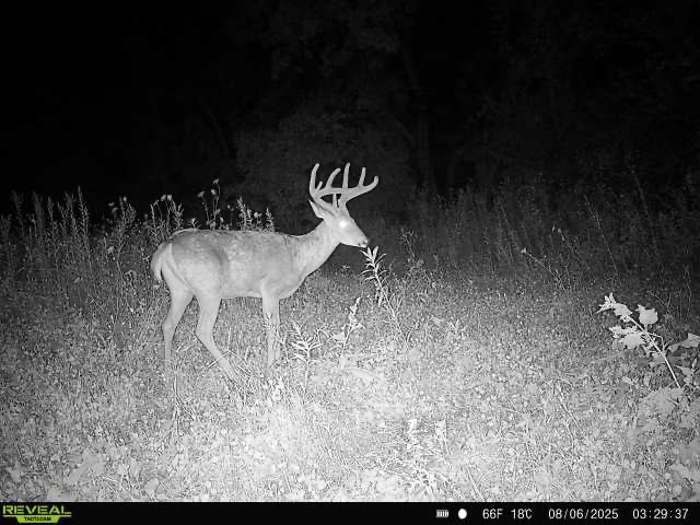 Xx Xx Simons Road Mondovi, WI 54755 - Photo 9 of 45