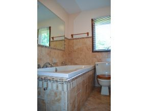2256 Dave Buck Road Johnson City, TN 37601 - Photo 9 of 23 Master Bath