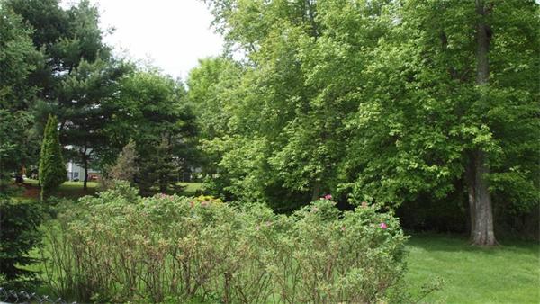 99 Selwyn Road Randolph, MA 02368 - Photo 29 of 29 Gallery Image 29
