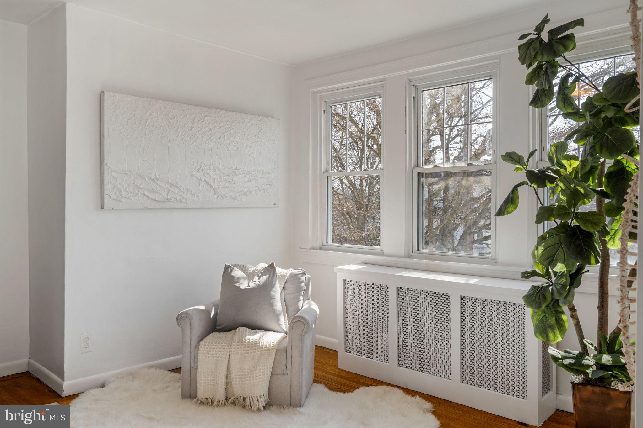 264 Pancoast Avenue Springfield, PA 19064 - Photo 22 of 38 a living room with furniture and a potted plant