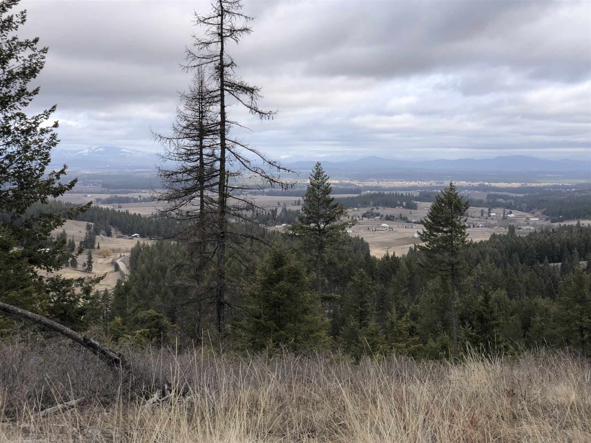 Tract F Tract F Bernhill Road Spokane, WA 99208 - Photo 9 of 20