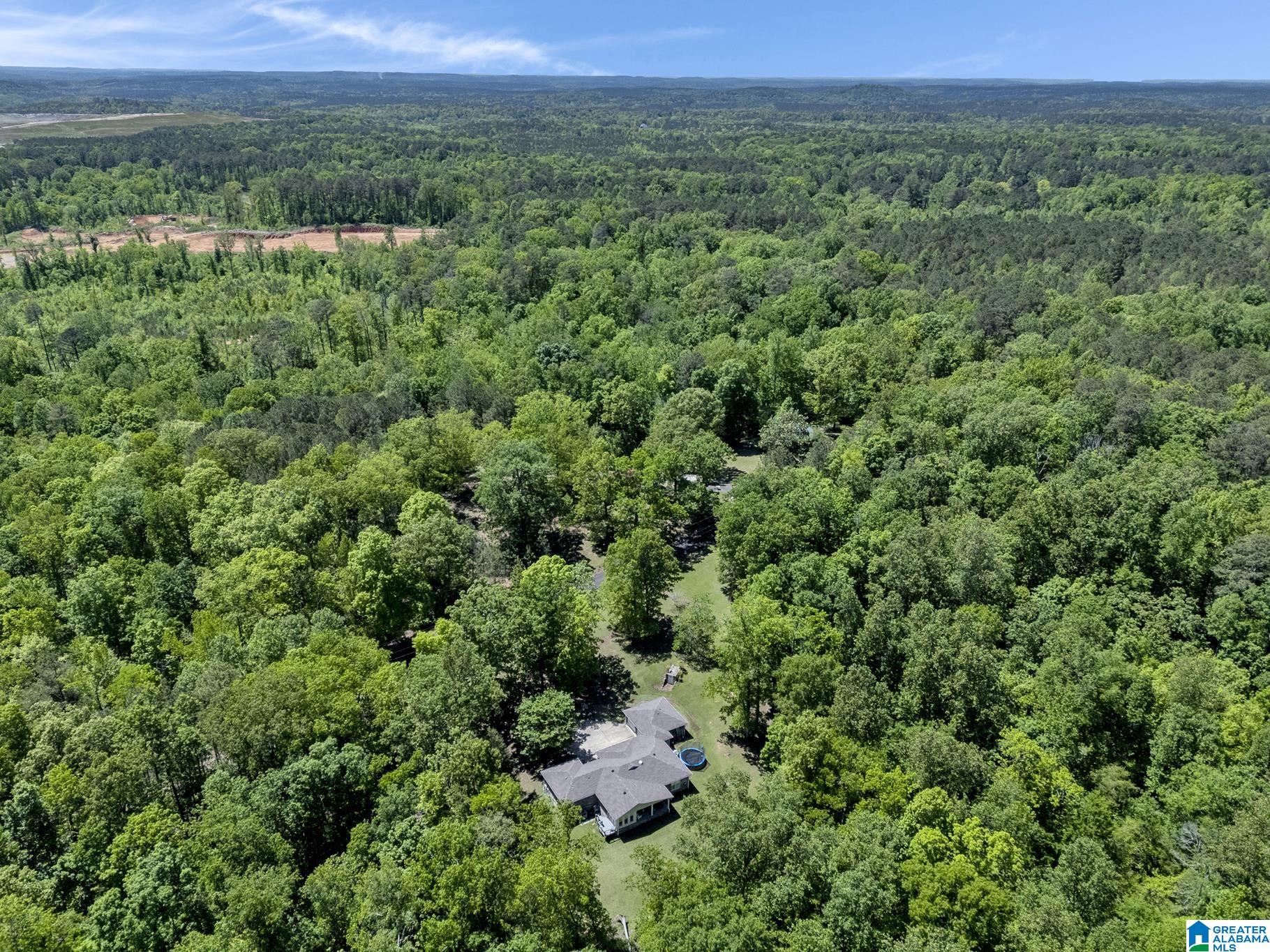 7219 Sellers Road Dora, AL 35062 - Photo 36 of 39