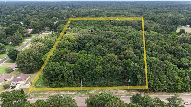 a view of a yard with potted plants