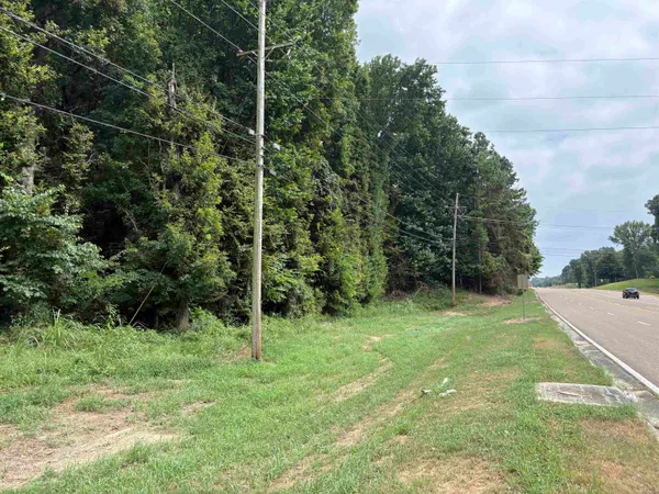 a view of outdoor space with green field and trees