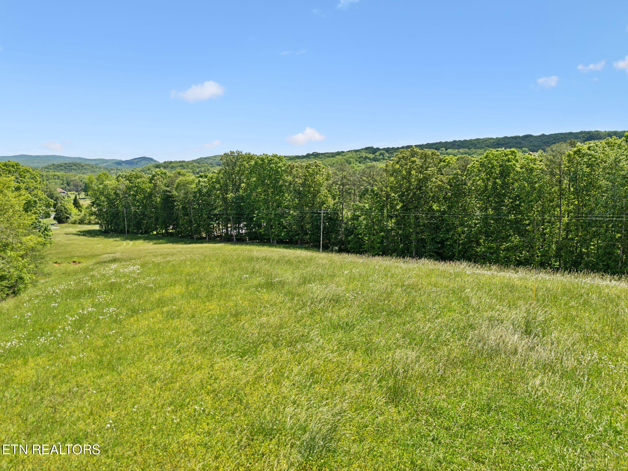 1460 Big Neck Road Grandview, TN 37337 - Photo 4 of 32 Rolling Fields