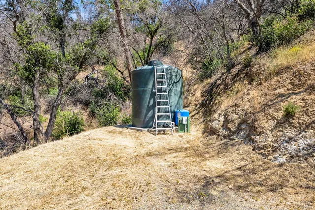 a view of a house with large trees