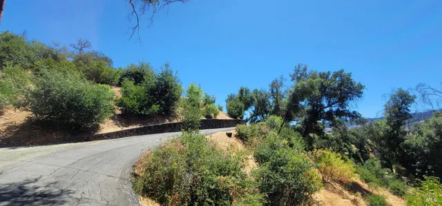 a view of a garden with an outdoor space