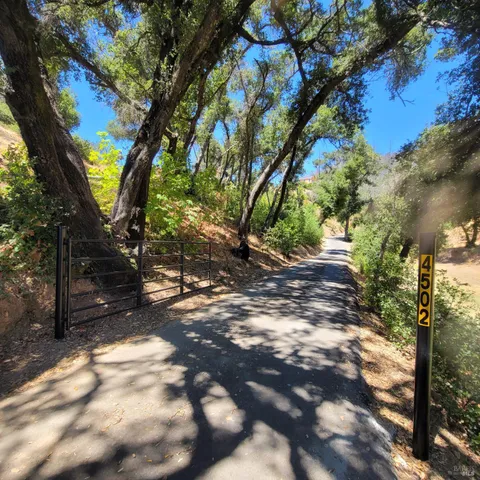 a view of a tree with a yard
