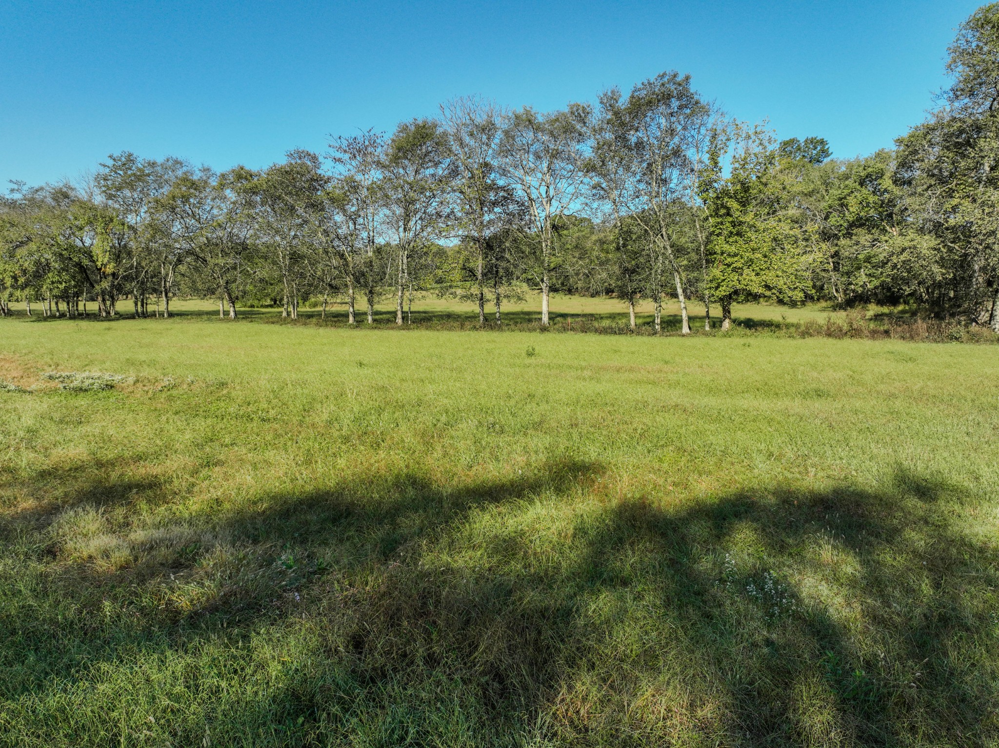 0 Delina Boonshill Road Petersburg, TN 37144 - Photo 11 of 40 a view of a field with trees
