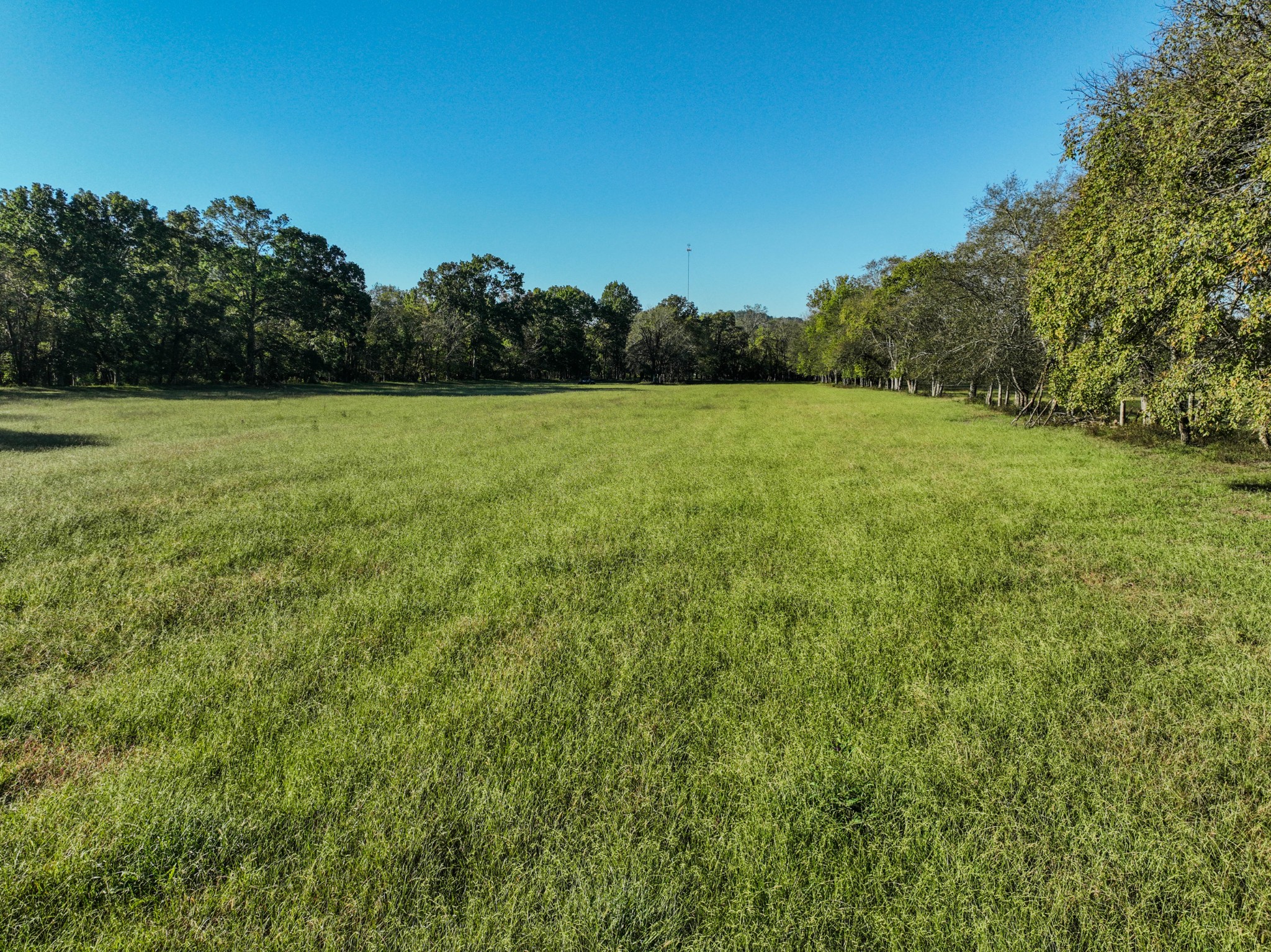 0 Delina Boonshill Road Petersburg, TN 37144 - Photo 12 of 40 a view of a green field with wooden fence