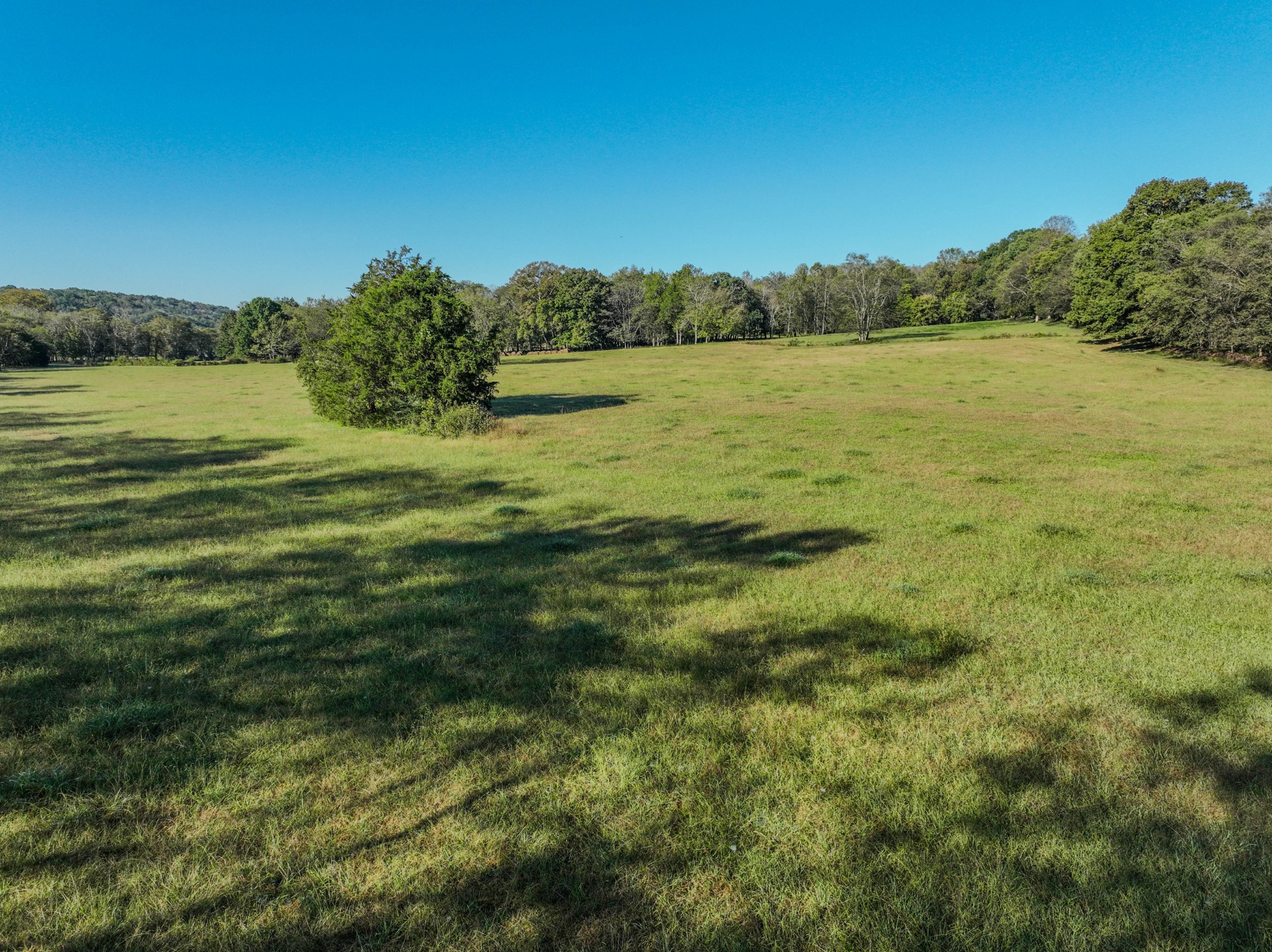 0 Delina Boonshill Road Petersburg, TN 37144 - Photo 14 of 40 a view of a lake with a yard