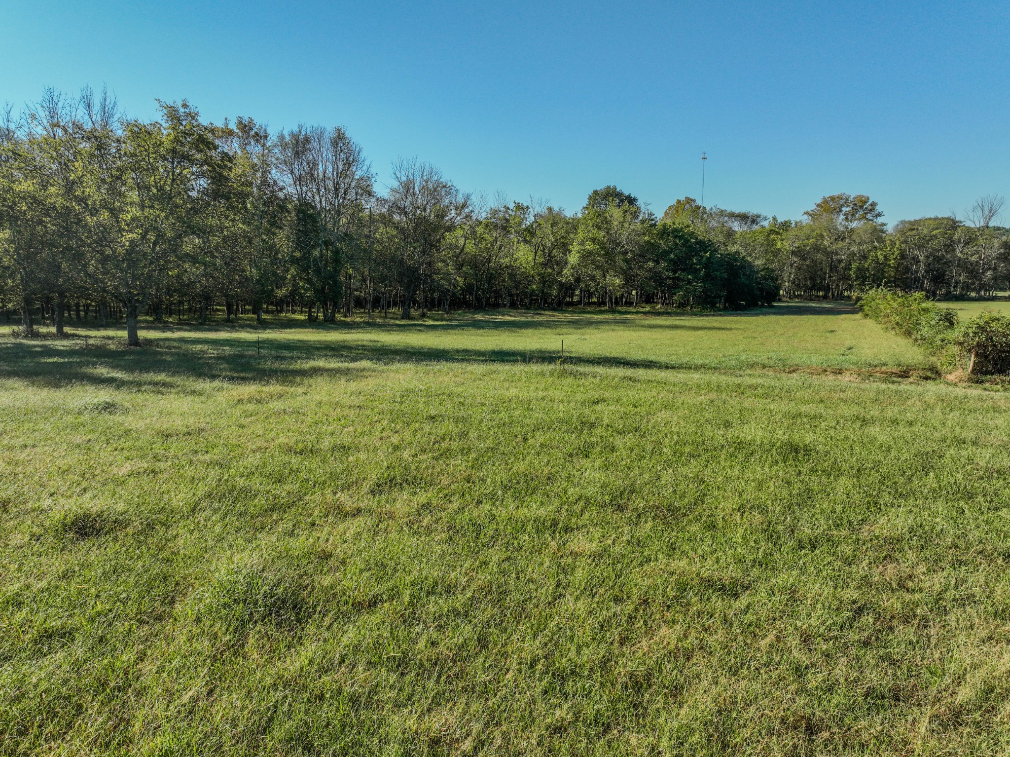 0 Delina Boonshill Road Petersburg, TN 37144 - Photo 16 of 40 a view of a green field