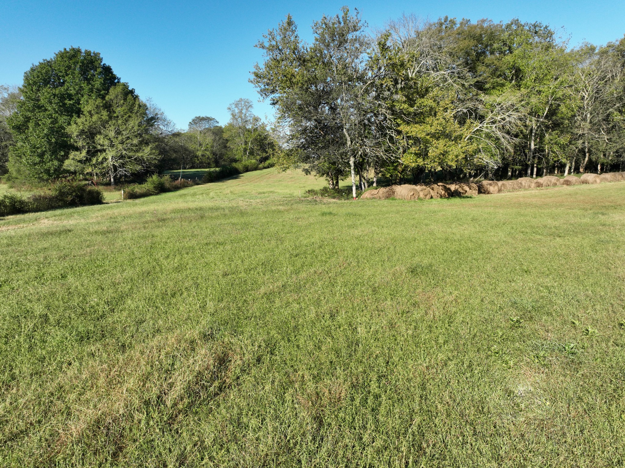 0 Delina Boonshill Road Petersburg, TN 37144 - Photo 17 of 40 a view of green field with trees in the background