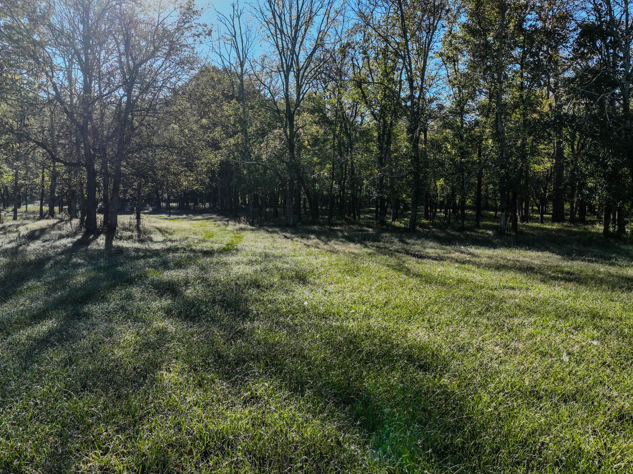 0 Delina Boonshill Road Petersburg, TN 37144 - Photo 20 of 40 a view of outdoor space with trees all around