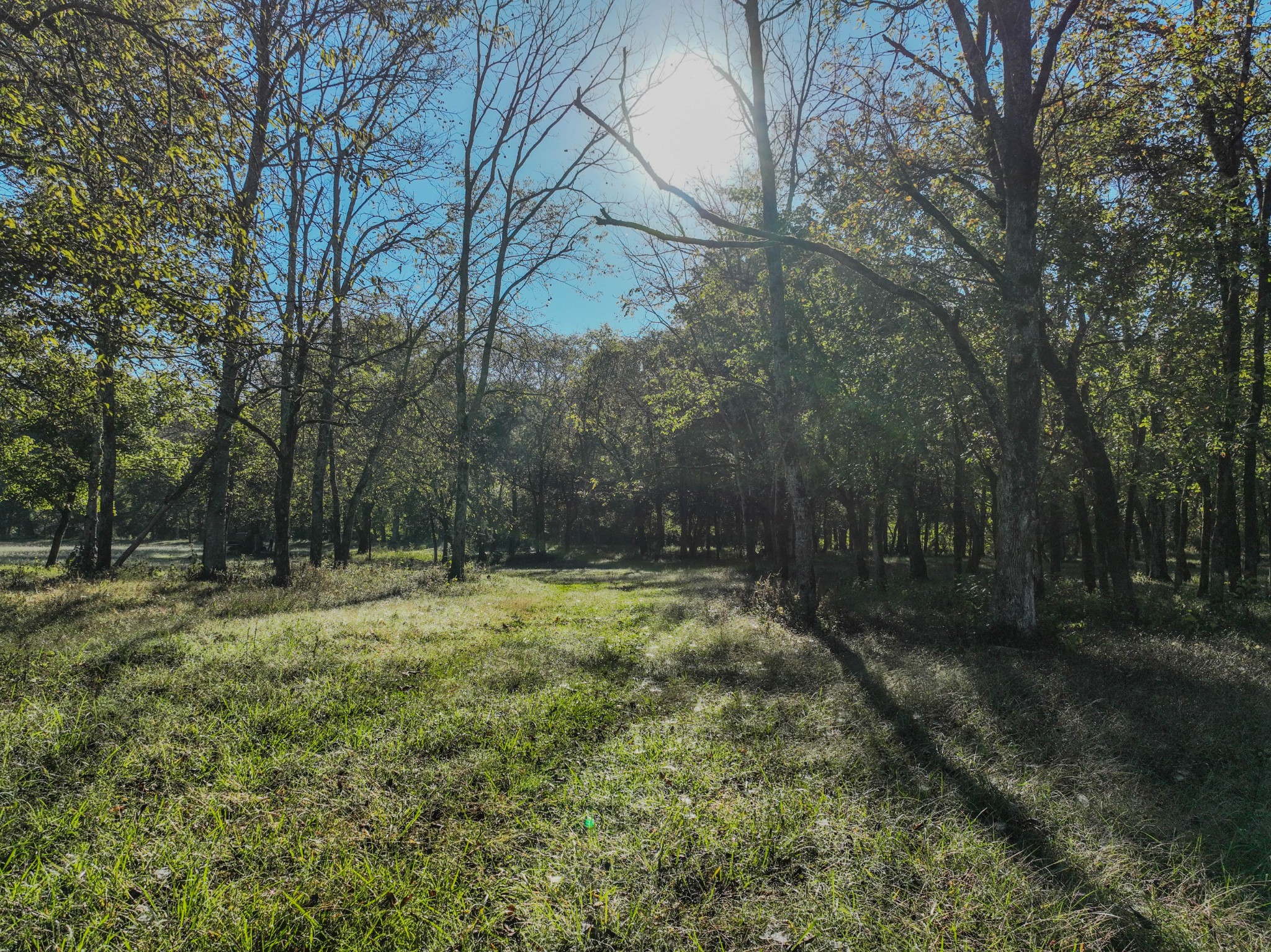 0 Delina Boonshill Road Petersburg, TN 37144 - Photo 21 of 40 a big yard with lots of green space and trees
