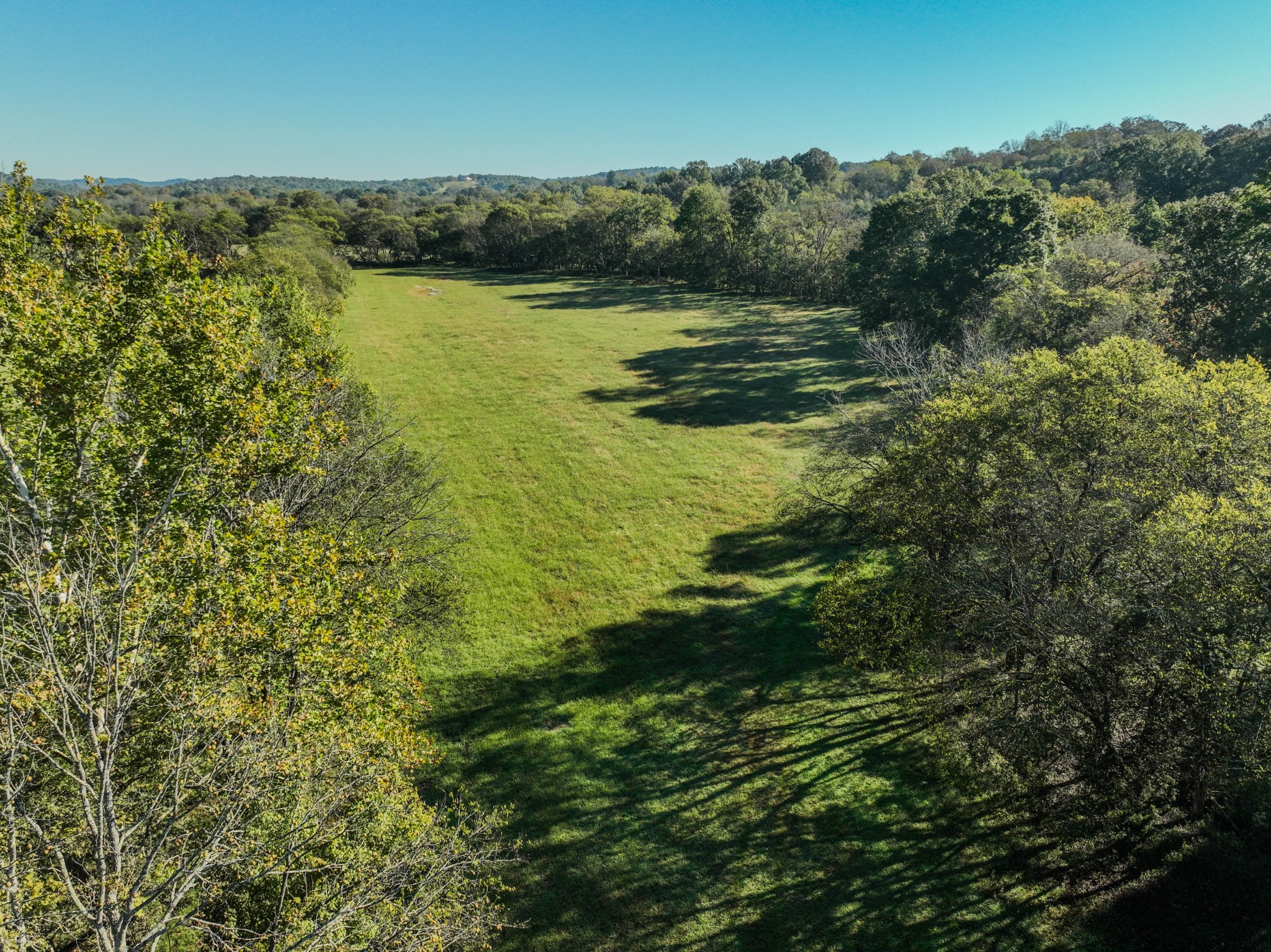 0 Delina Boonshill Road Petersburg, TN 37144 - Photo 23 of 40 a view of a yard with an outdoor space