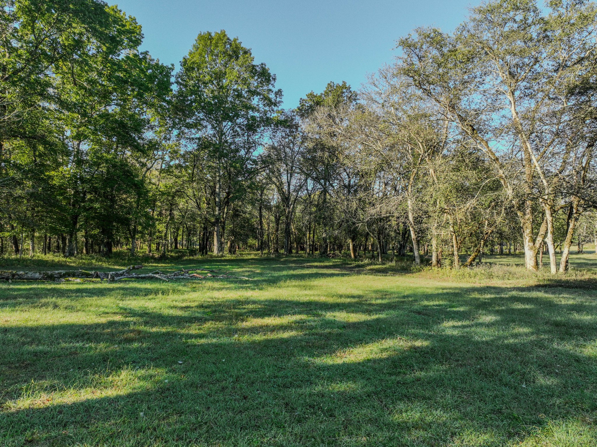 0 Delina Boonshill Road Petersburg, TN 37144 - Photo 24 of 40 a grassy field with trees in the background