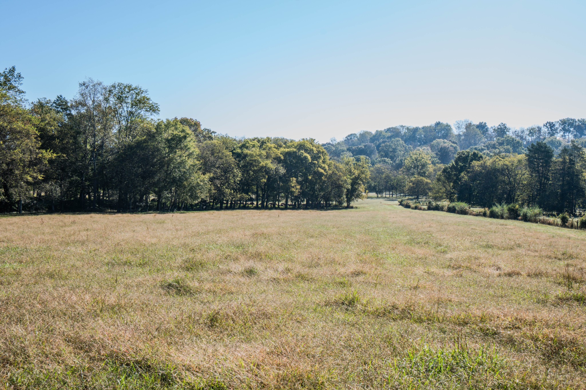 0 Delina Boonshill Road Petersburg, TN 37144 - Photo 3 of 40 a view of a dry yard with mountain