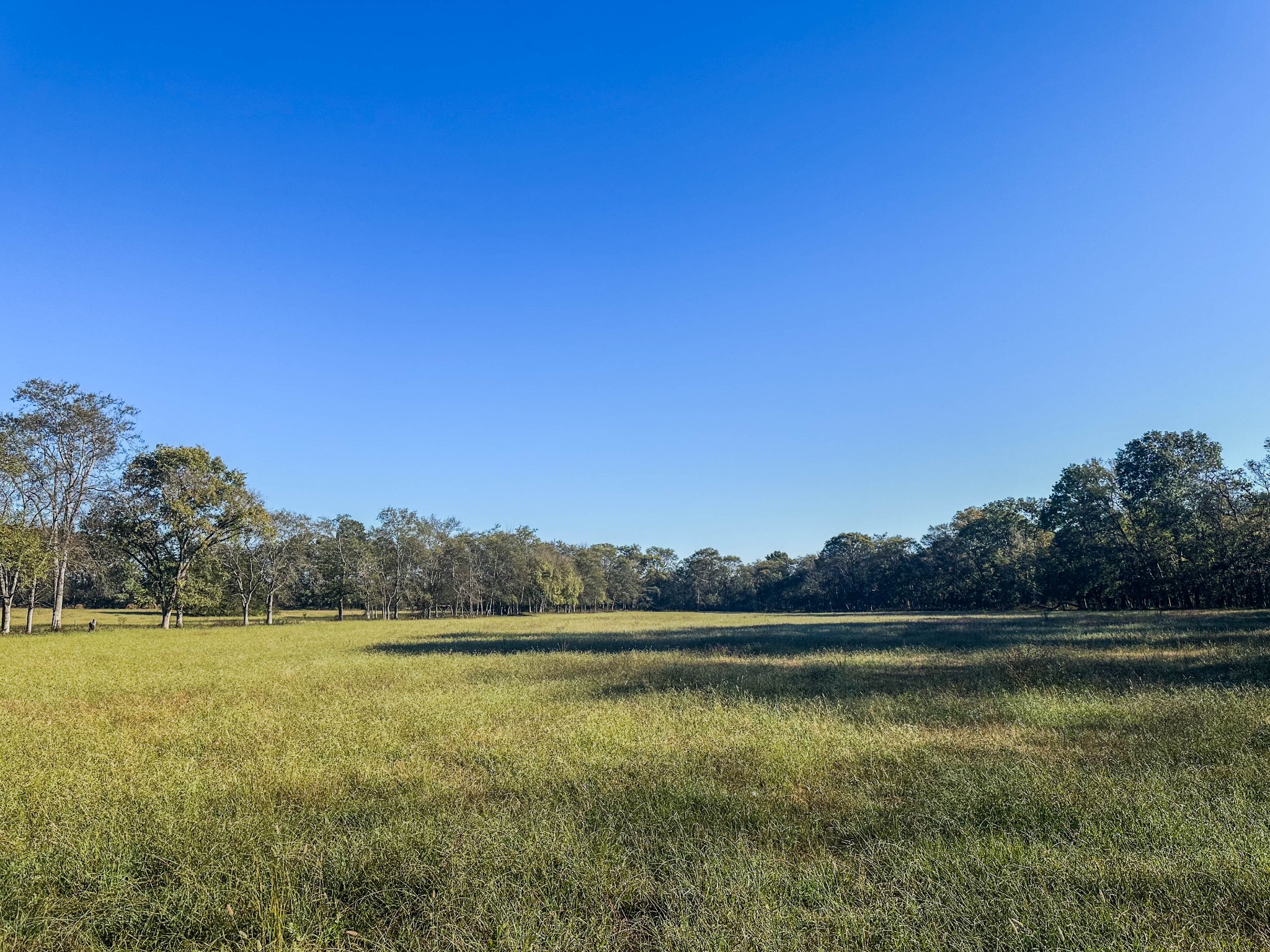 0 Delina Boonshill Road Petersburg, TN 37144 - Photo 31 of 40 a view of a lake view
