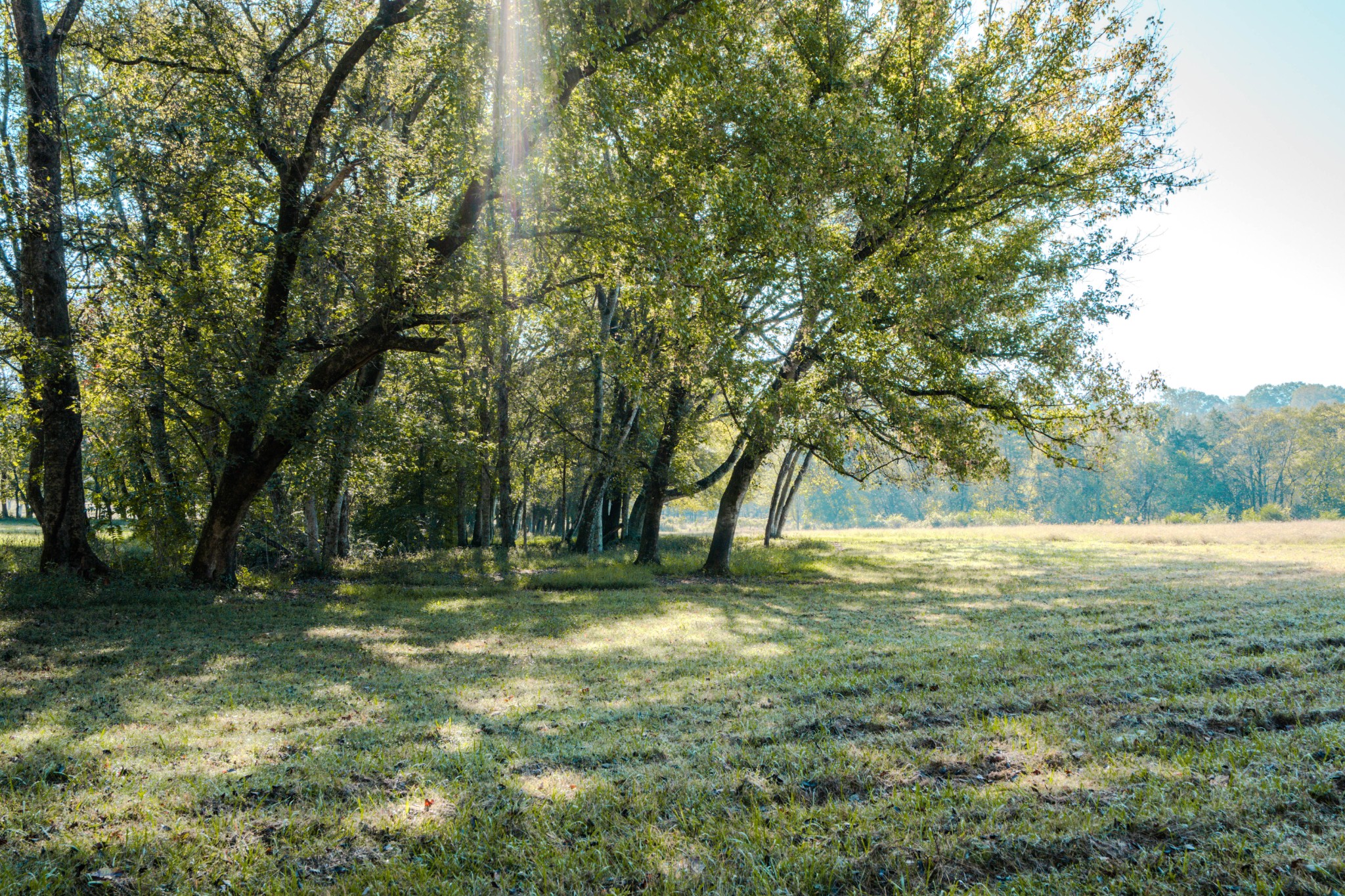 0 Delina Boonshill Road Petersburg, TN 37144 - Photo 32 of 40 a view of outdoor space with trees all around