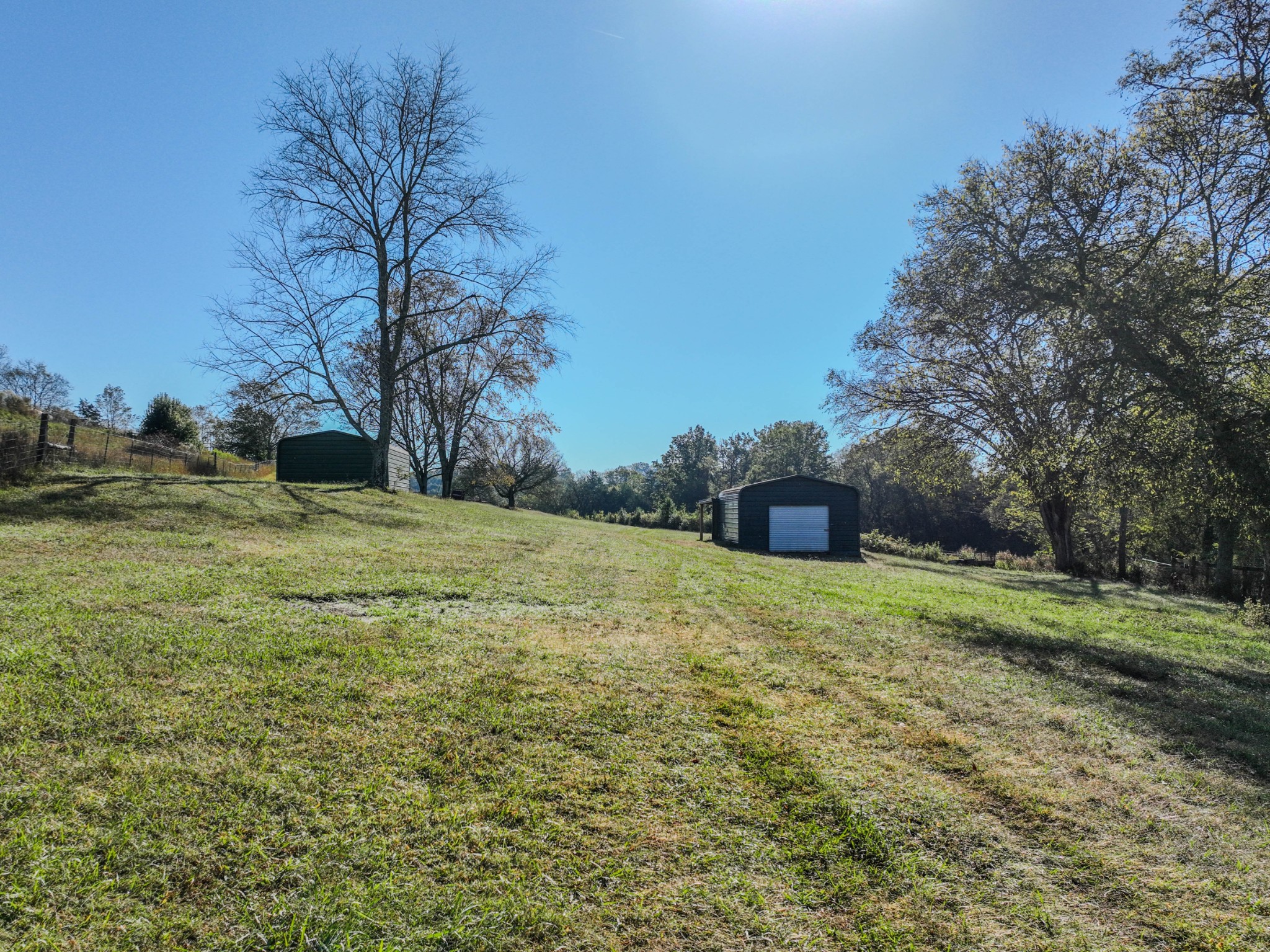 0 Delina Boonshill Road Petersburg, TN 37144 - Photo 34 of 40 a view of a field with large trees