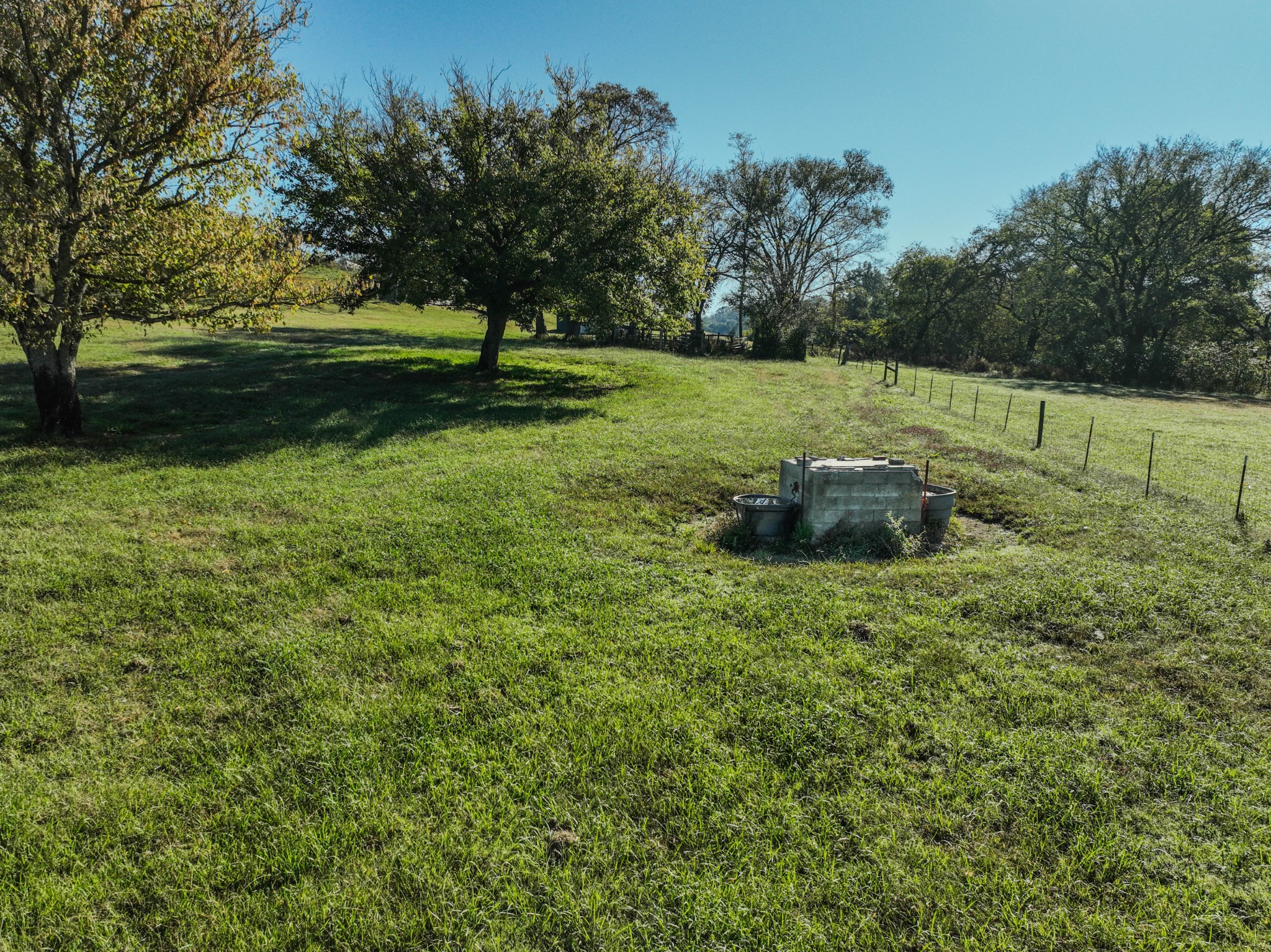 0 Delina Boonshill Road Petersburg, TN 37144 - Photo 36 of 40 a garden view