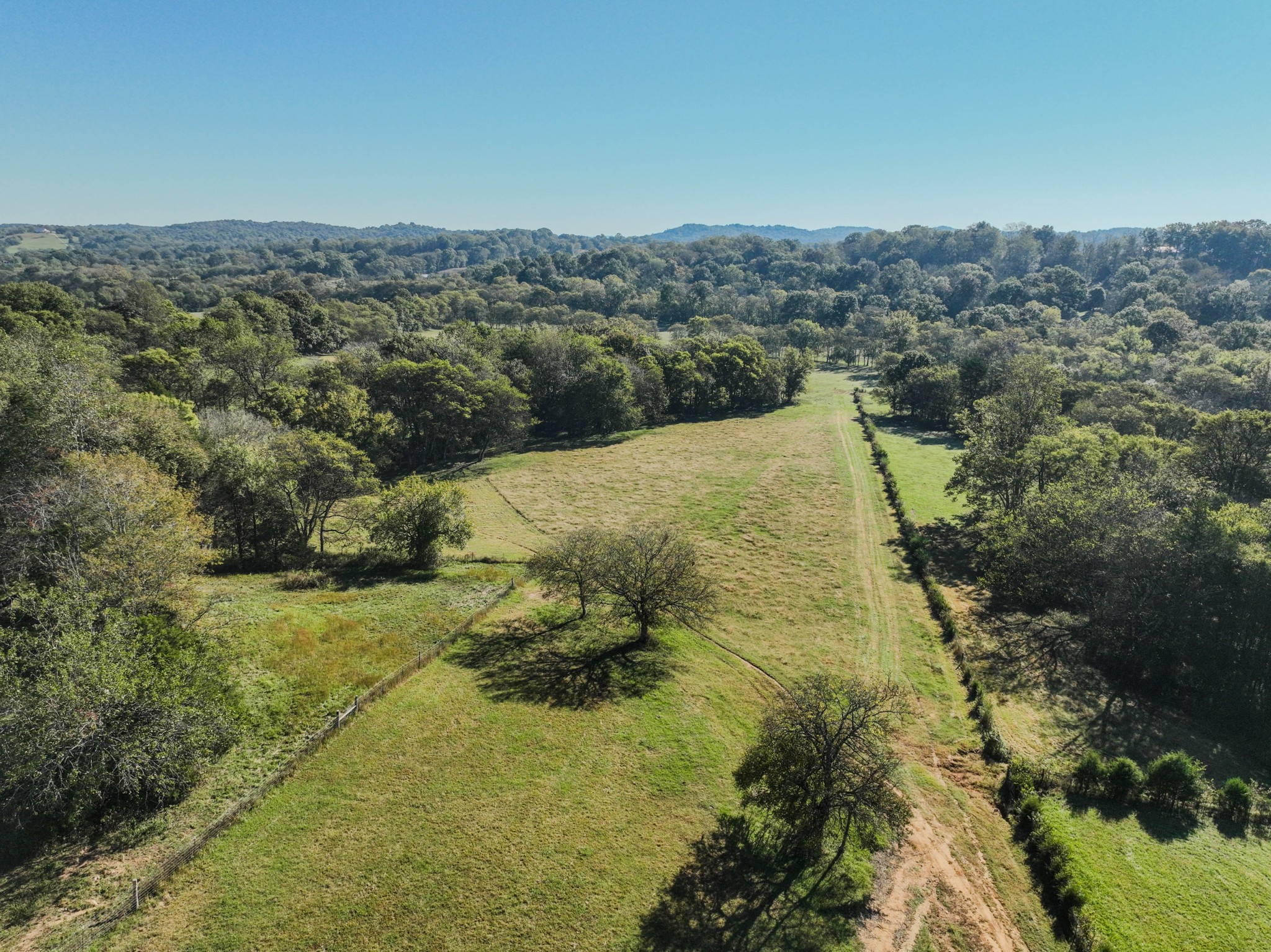 0 Delina Boonshill Road Petersburg, TN 37144 - Photo 39 of 40 a view of a yard