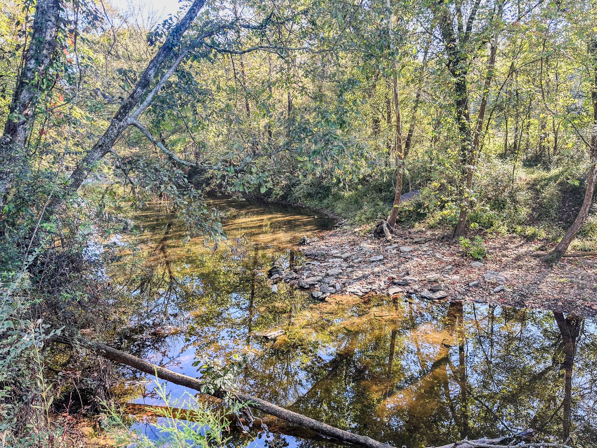 0 Delina Boonshill Road Petersburg, TN 37144 - Photo 4 of 40 a view of a yard with plants and large trees