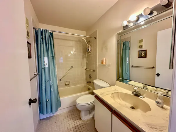 a view of a park with a large tree