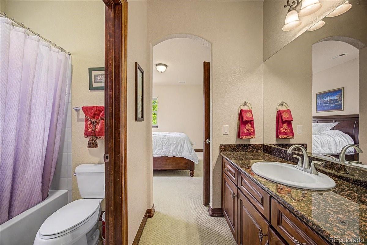 10492 Rivington Court Lone Tree, CO 80124 - Photo 26 of 50