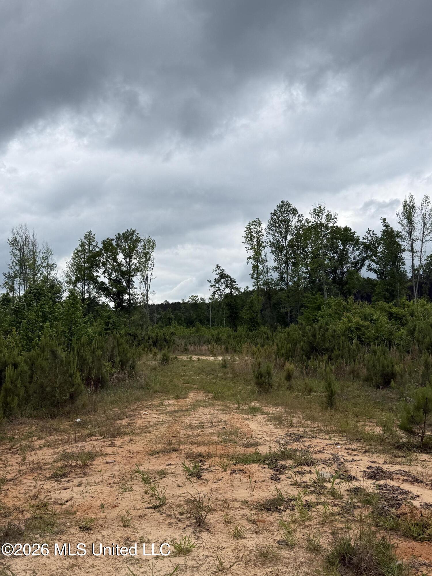 5223 County Road Ethel, MS 39067 - Photo 12 of 22 IMG_4774