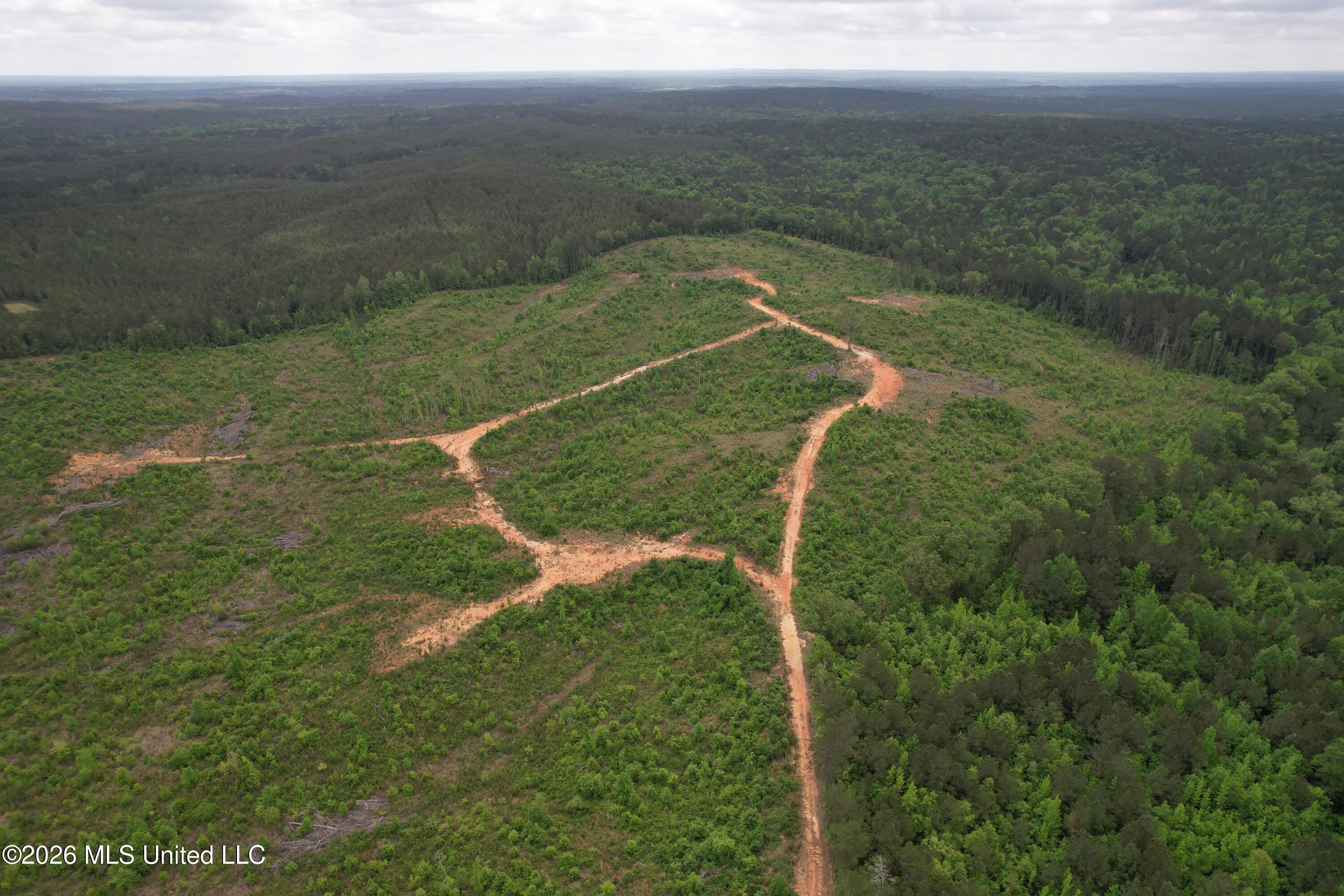 5223 County Road Ethel, MS 39067 - Photo 14 of 22 dji_fly_20260424_111314_102_177704768940