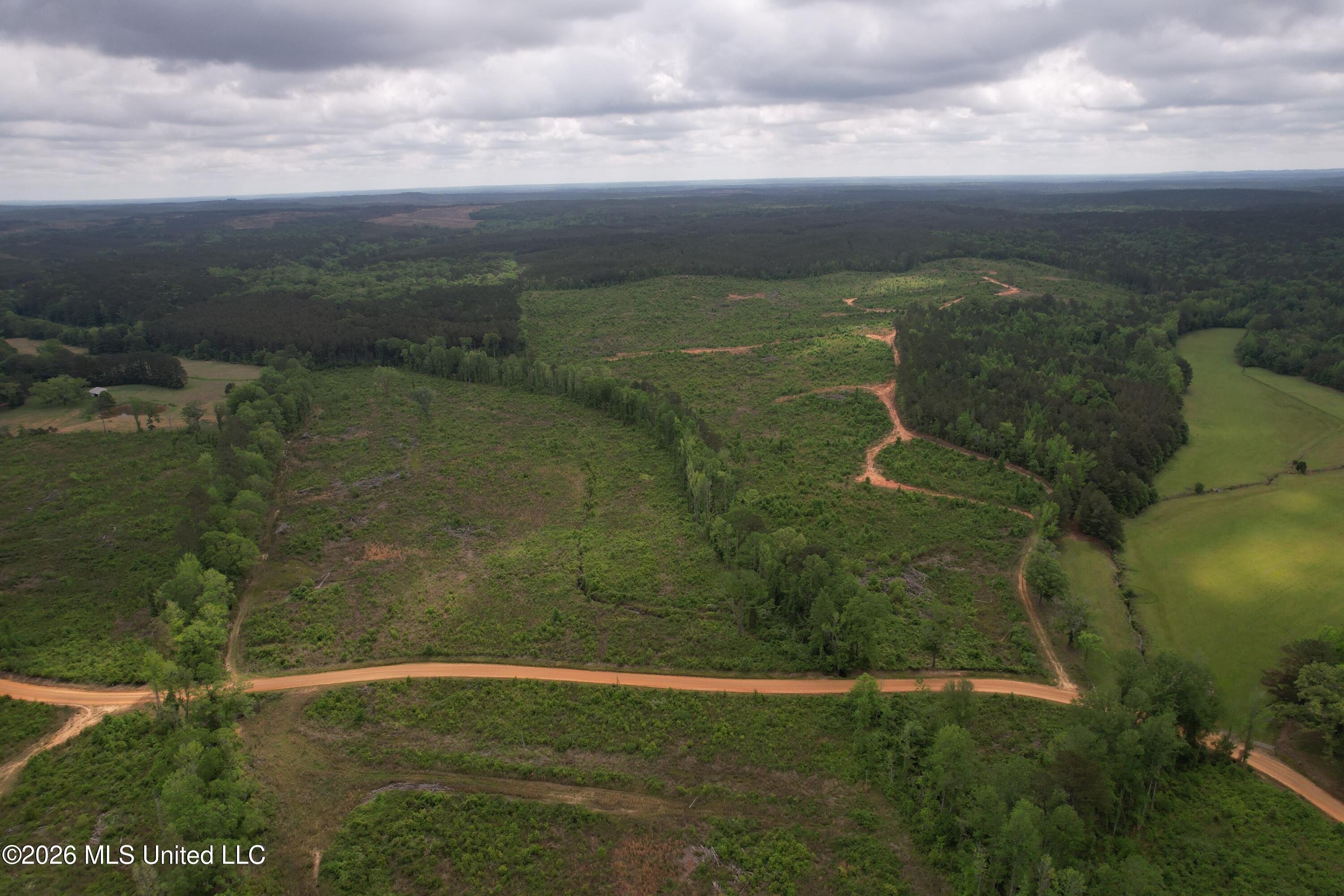 5223 County Road Ethel, MS 39067 - Photo 18 of 22 dji_fly_20260424_111452_106_177704768212