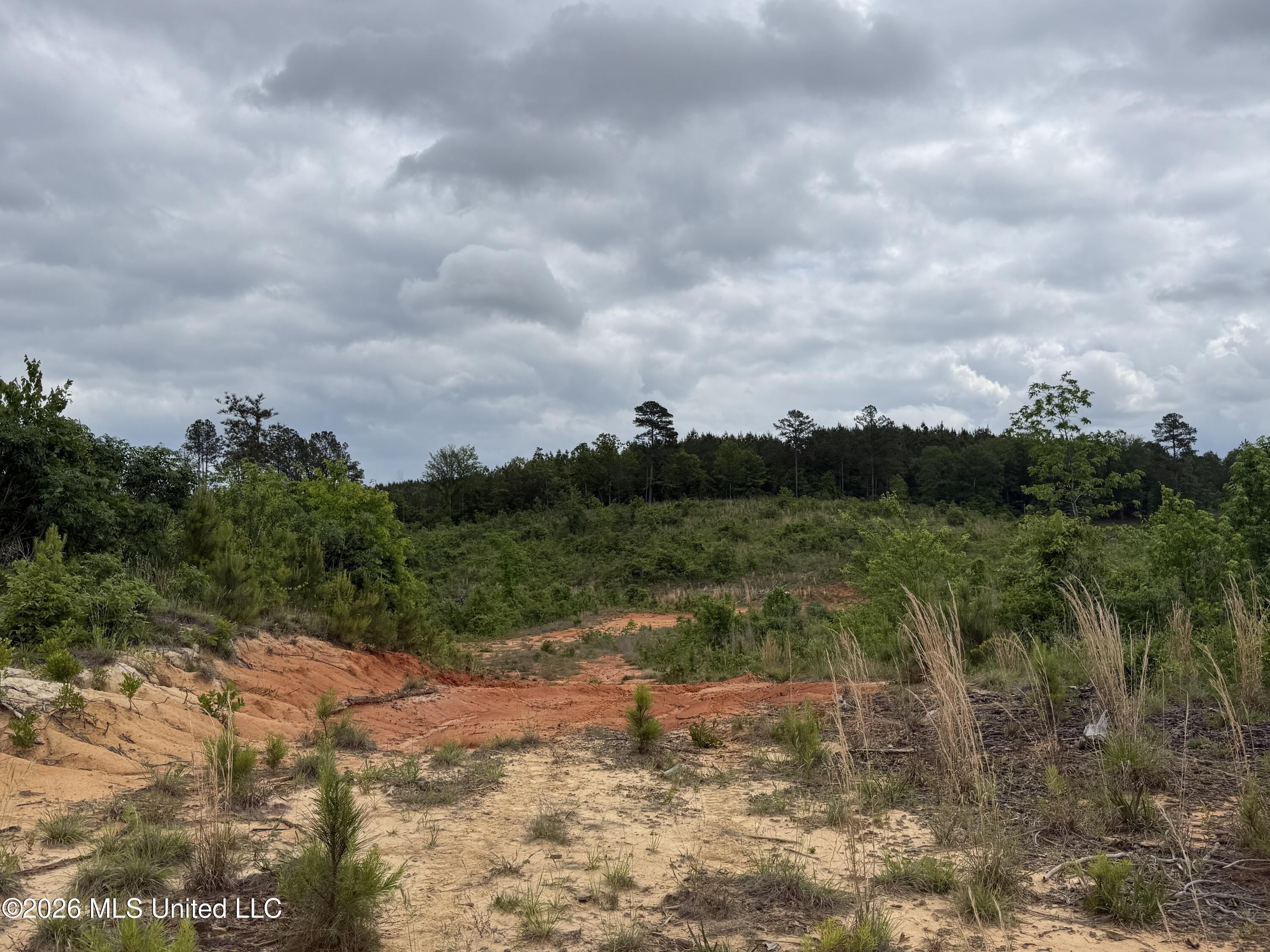 5223 County Road Ethel, MS 39067 - Photo 2 of 22 IMG_4756