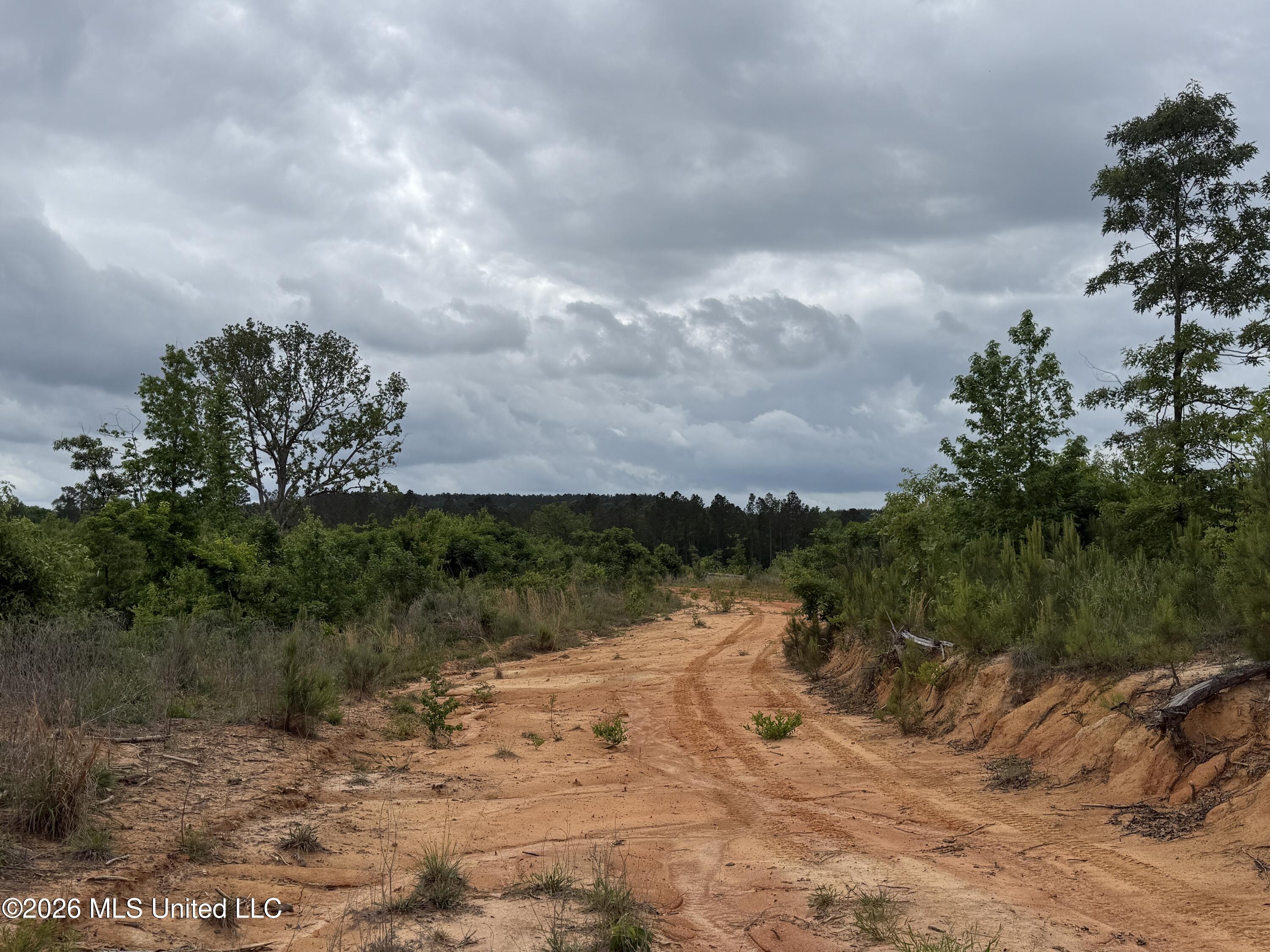 5223 County Road Ethel, MS 39067 - Photo 6 of 22 IMG_4763