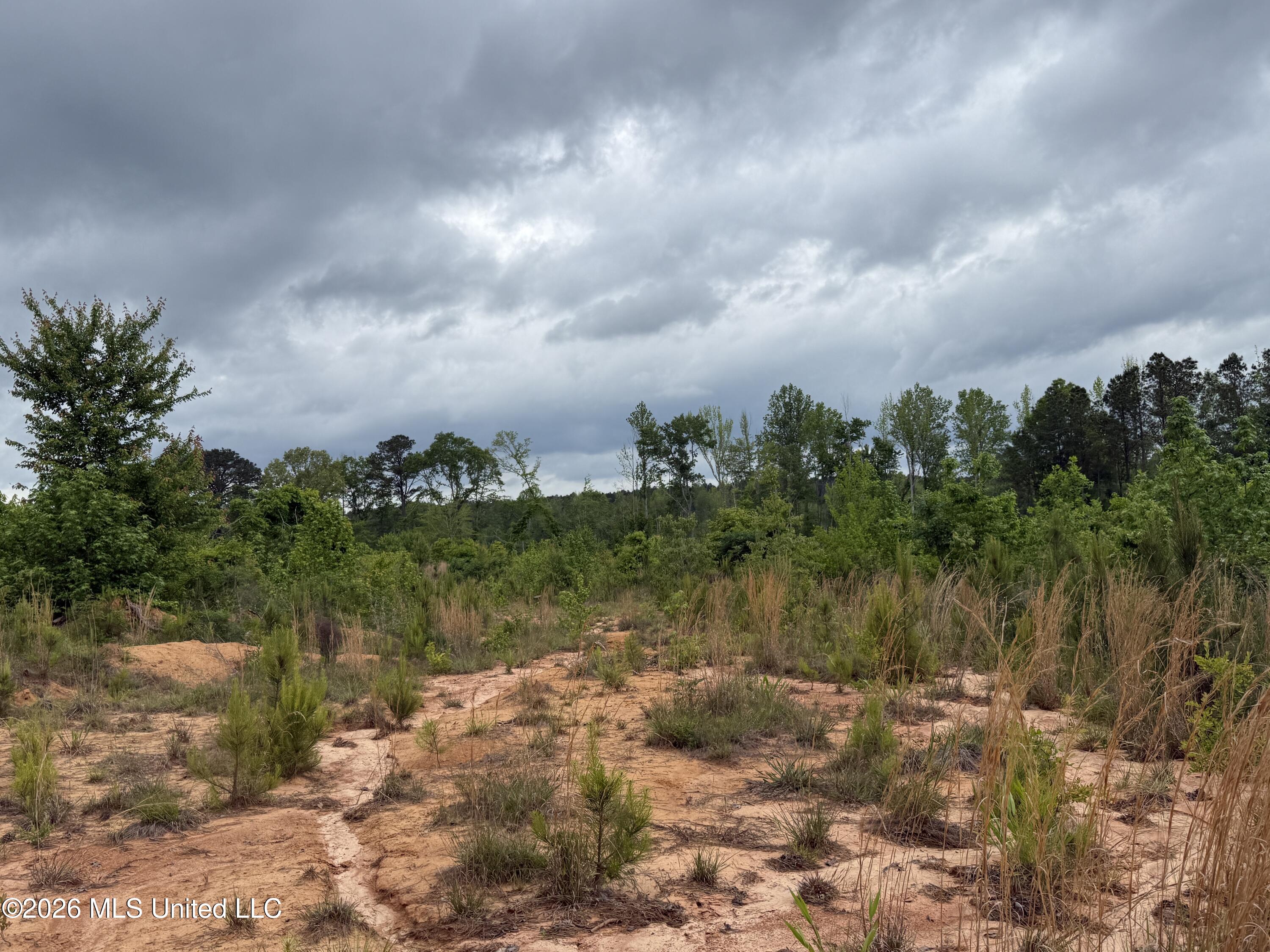 5223 County Road Ethel, MS 39067 - Photo 8 of 22 IMG_4770