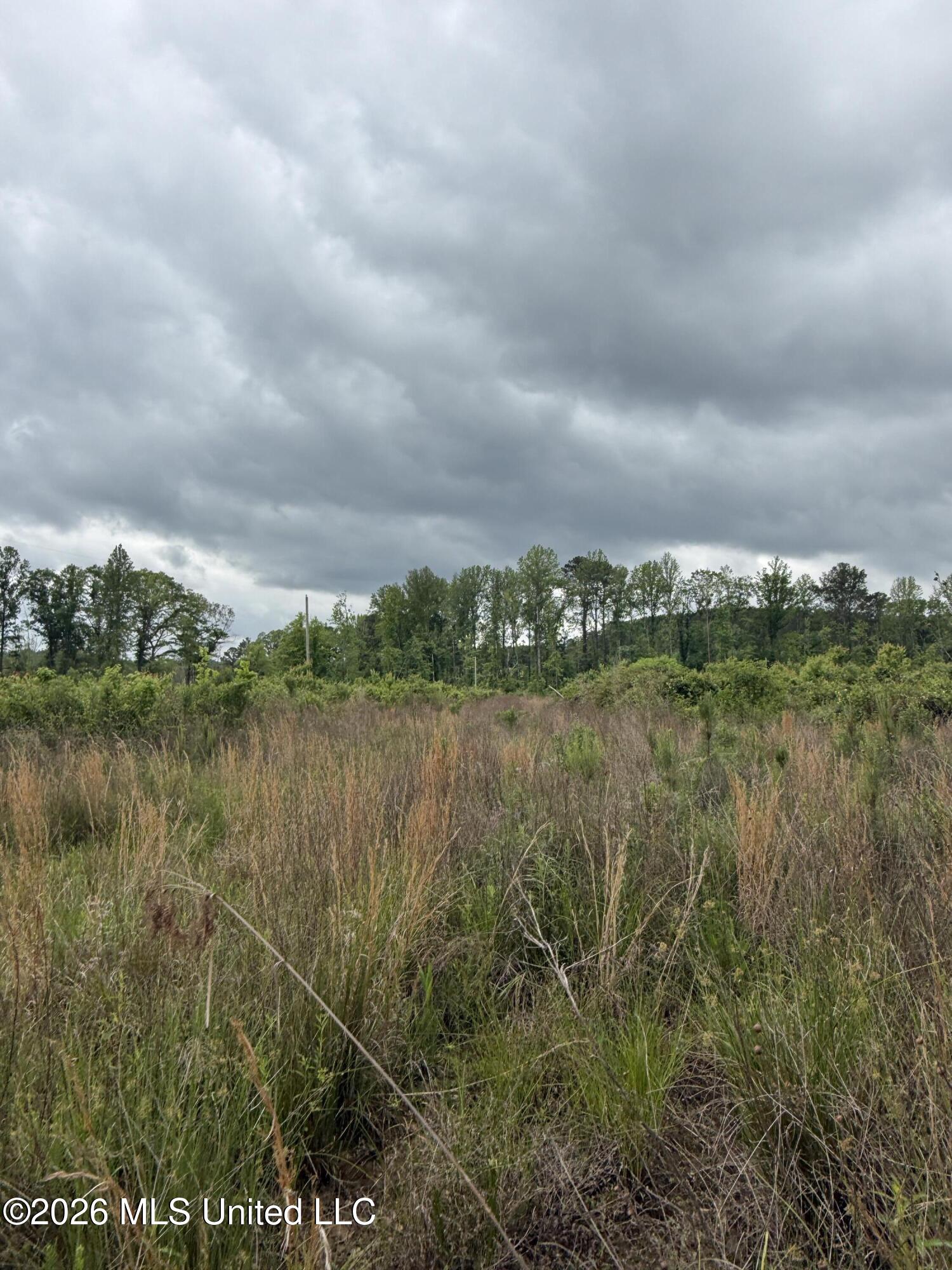 5223 County Road Ethel, MS 39067 - Photo 10 of 22 IMG_4772