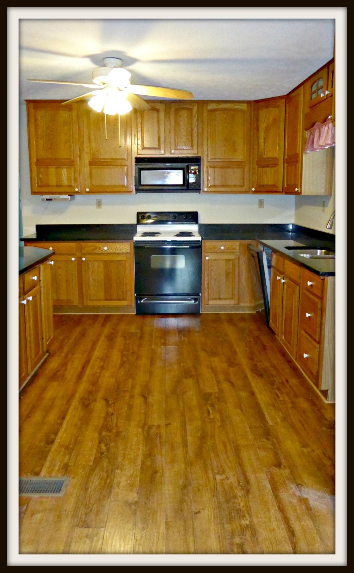 532 Briggs Road Dandridge, TN 37725 - Photo 11 of 34 P1010787F