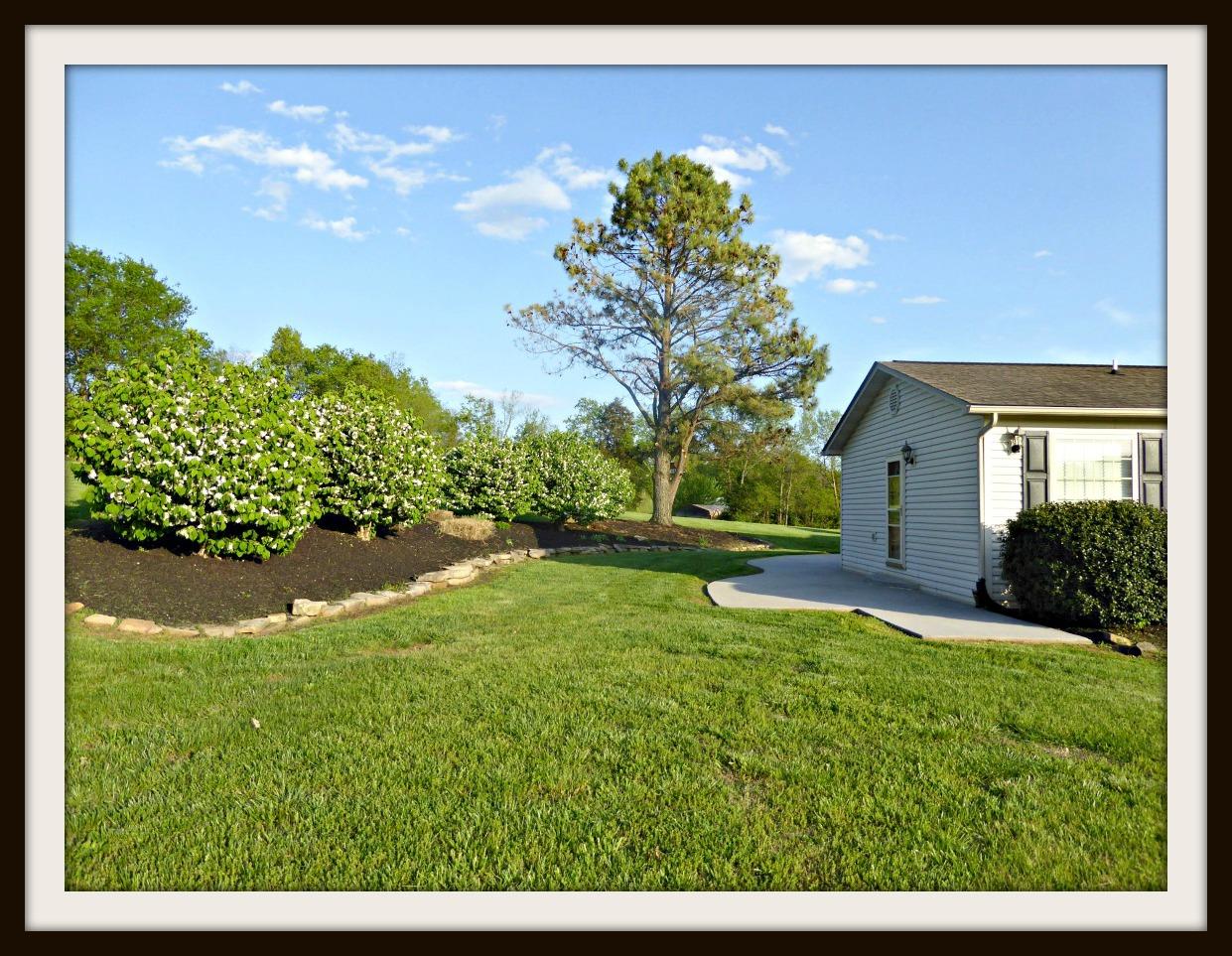 532 Briggs Road Dandridge, TN 37725 - Photo 3 of 34 P1010913F