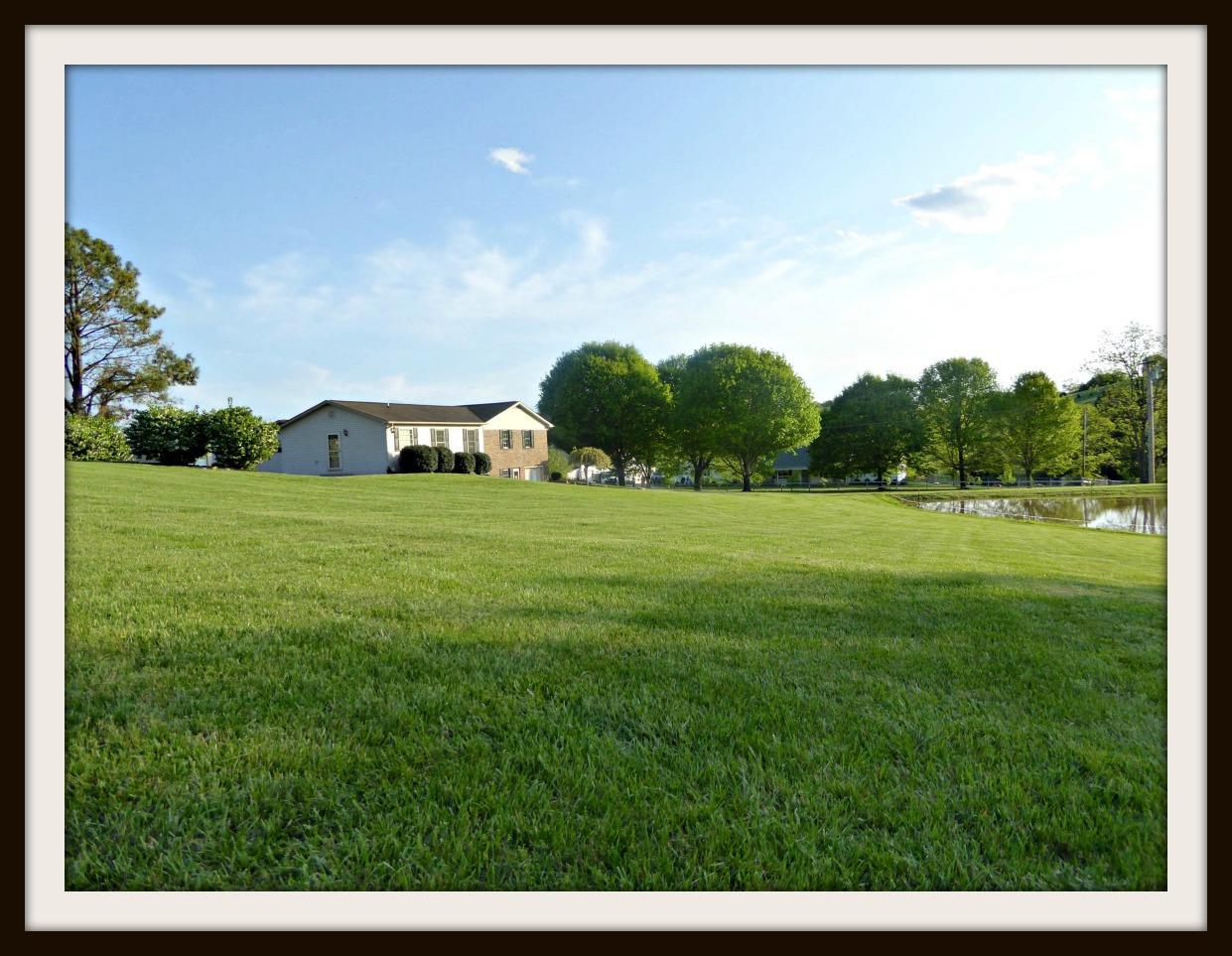 532 Briggs Road Dandridge, TN 37725 - Photo 5 of 34 P1010917F
