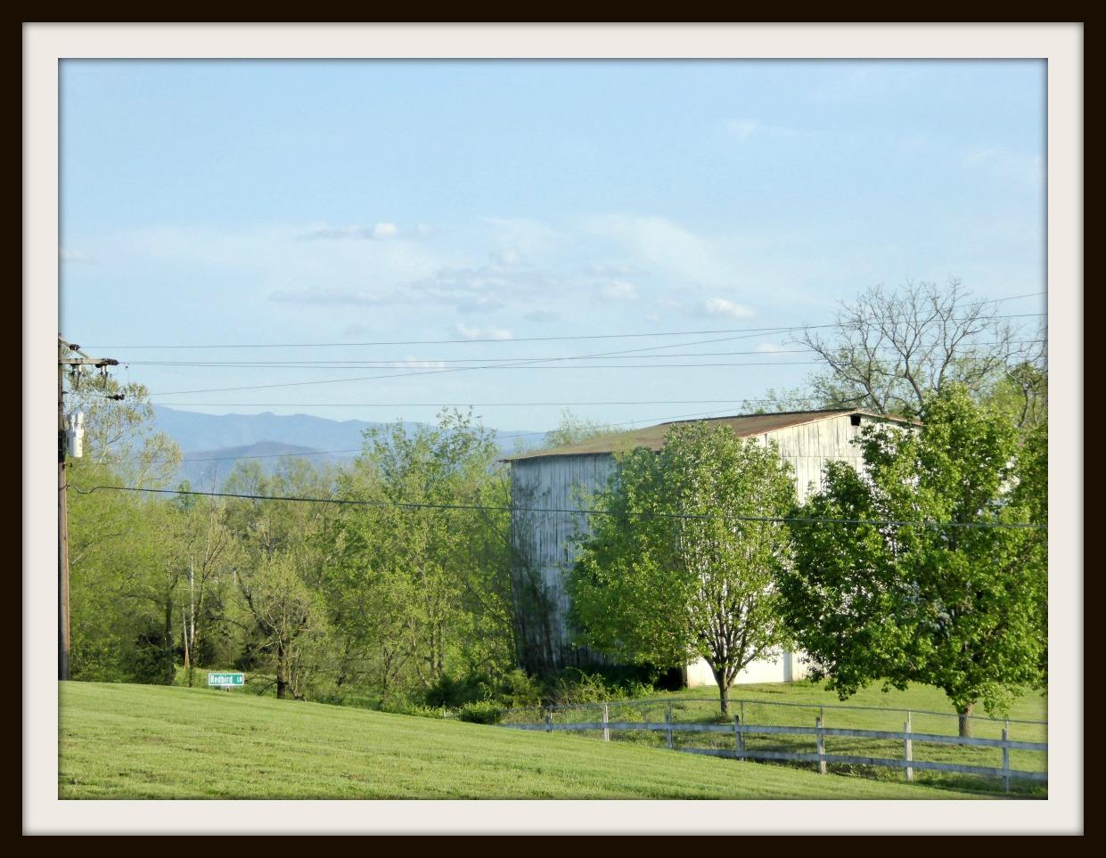 532 Briggs Road Dandridge, TN 37725 - Photo 6 of 34 P1010918F