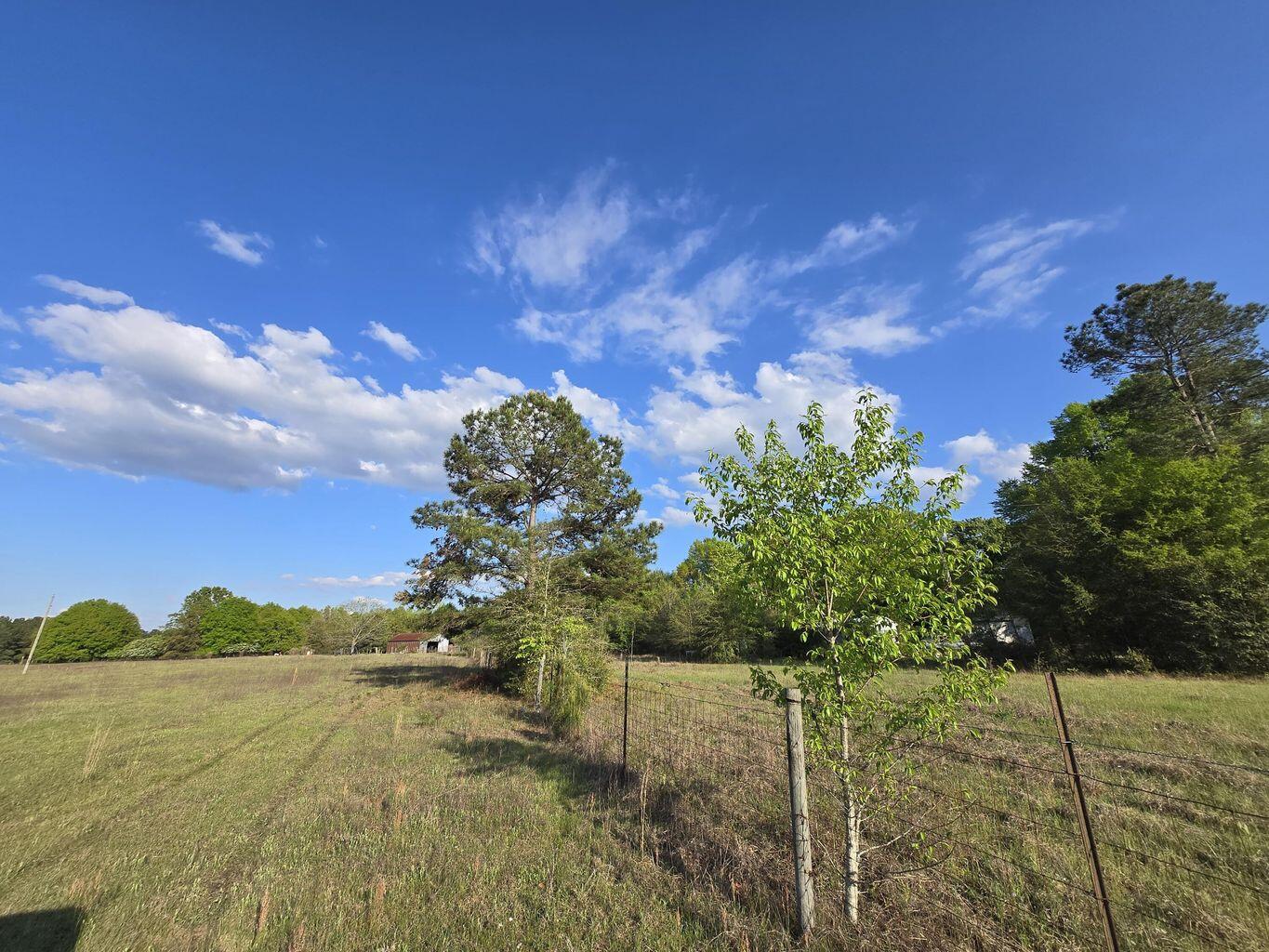 10 Hwy 39 Road Williston, SC 29853 - Photo 4 of 6 Fellowship 2