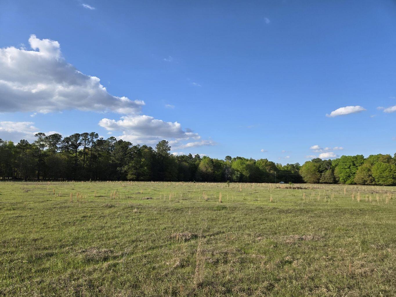 10 Hwy 39 Road Williston, SC 29853 - Photo 5 of 6 HWY 39 5