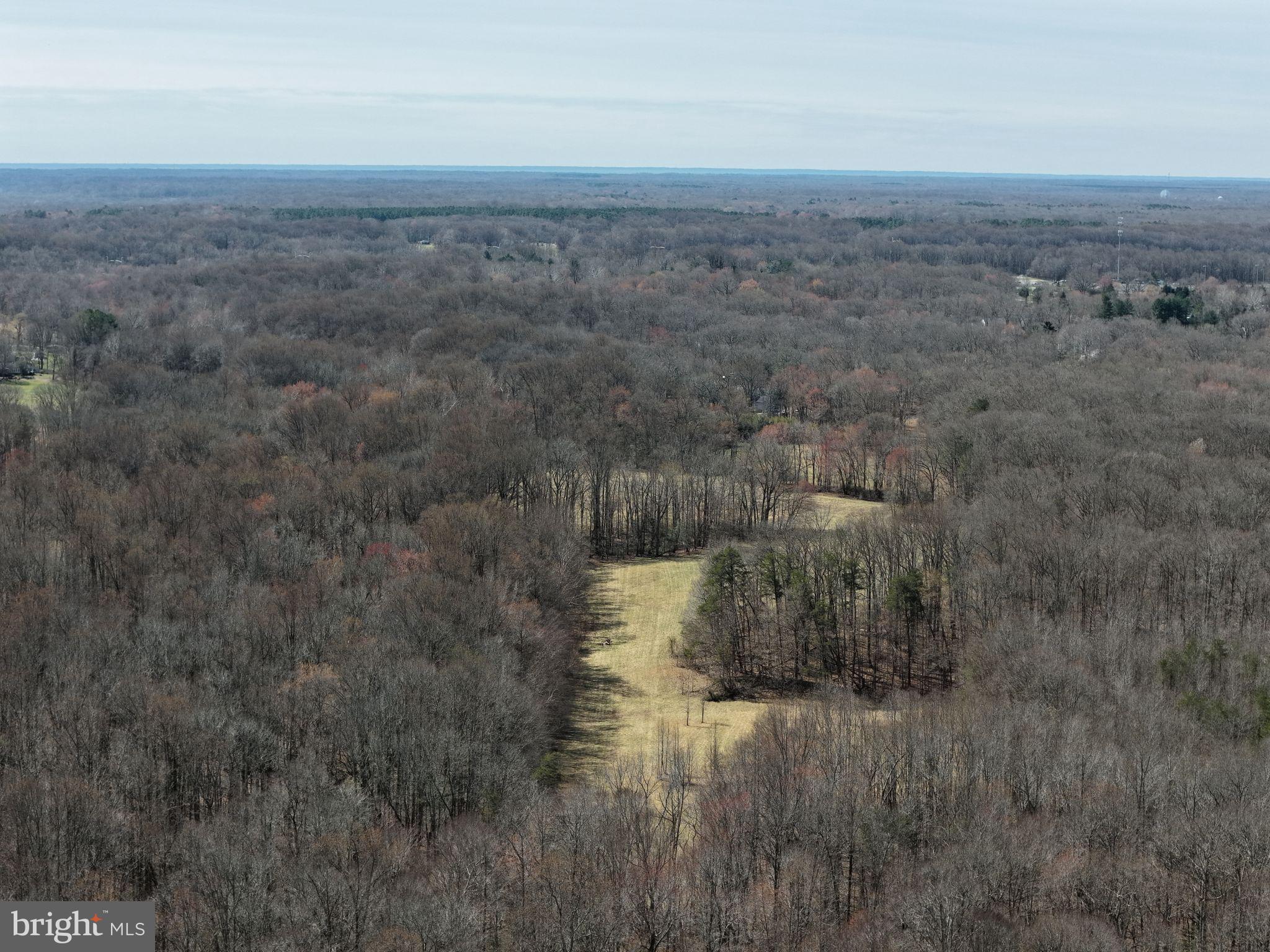 8710 Billingsley Road Waldorf, MD 20603 - Photo 13 of 19 a view of a dry yard
