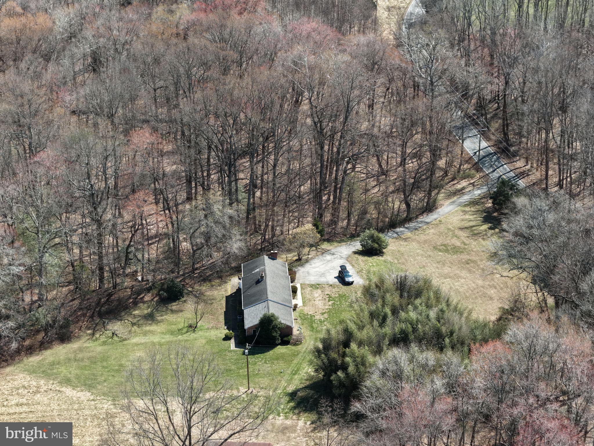 8710 Billingsley Road Waldorf, MD 20603 - Photo 19 of 19 a view of yard with green space