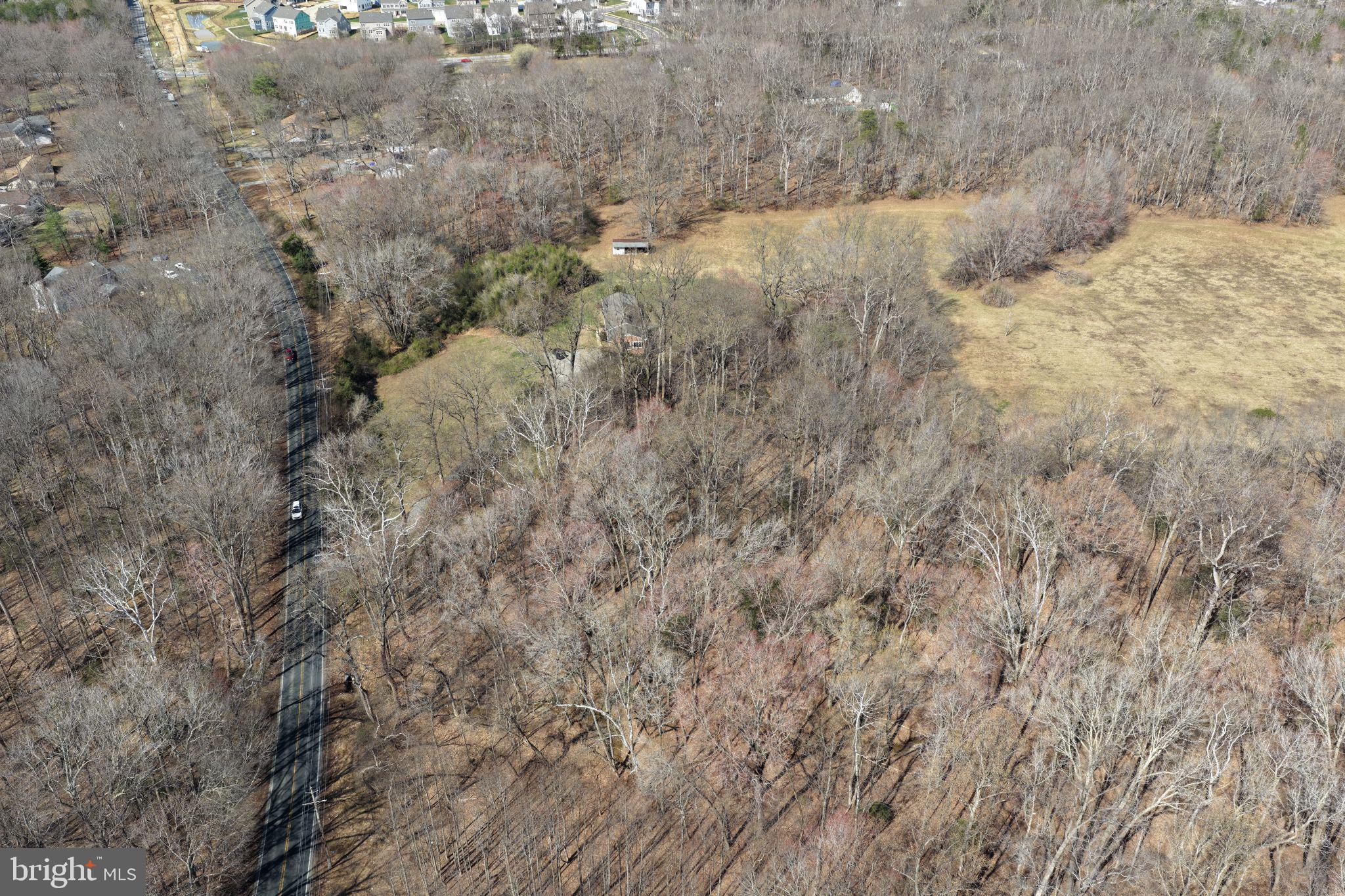 8710 Billingsley Road Waldorf, MD 20603 - Photo 10 of 19 a view of a dry yard covered with trees