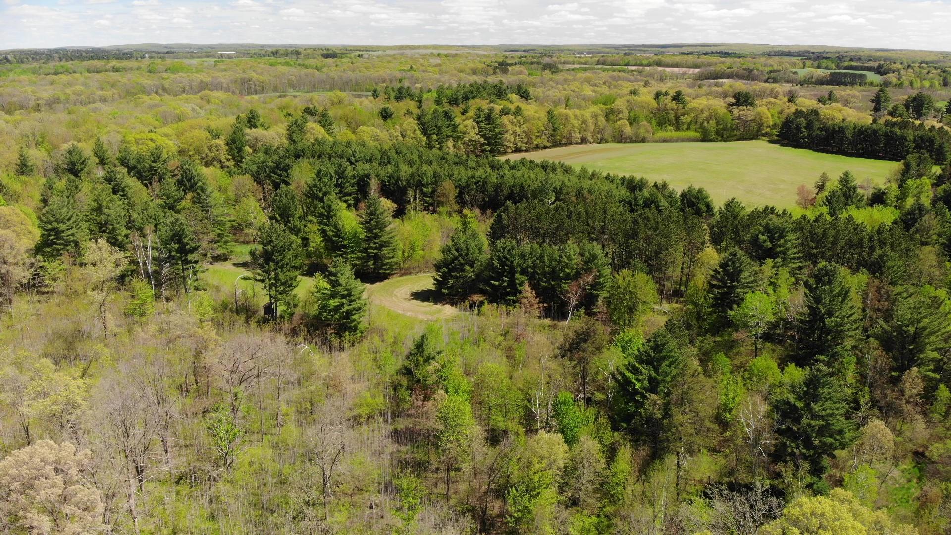 Xxx Xxx Herrick Road Frederic, WI 54837 - Photo 10 of 21