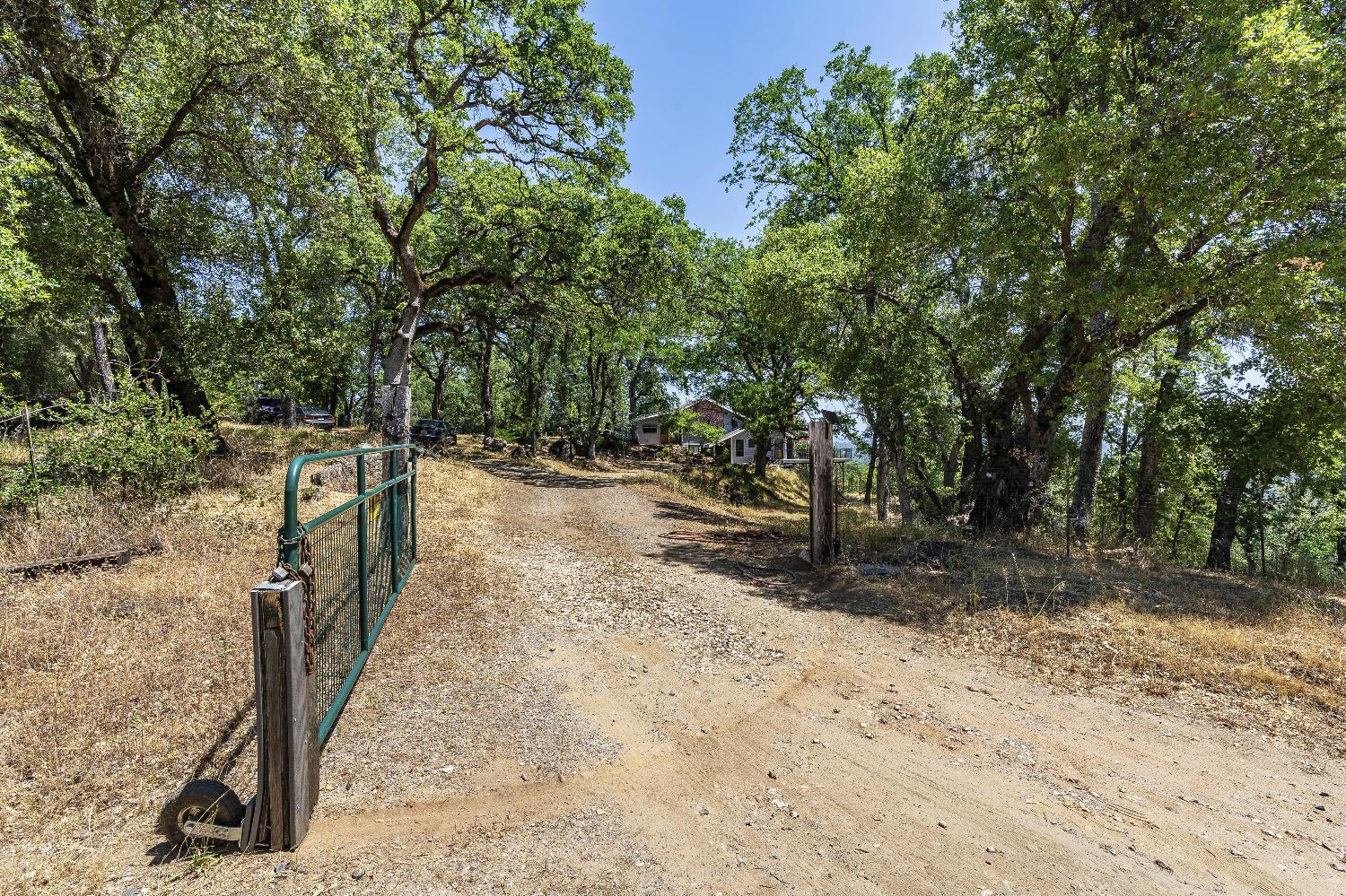 2261 Sand Ridge Road El Dorado, CA 95623 - Photo 2 of 61 a view of a dry yard with trees
